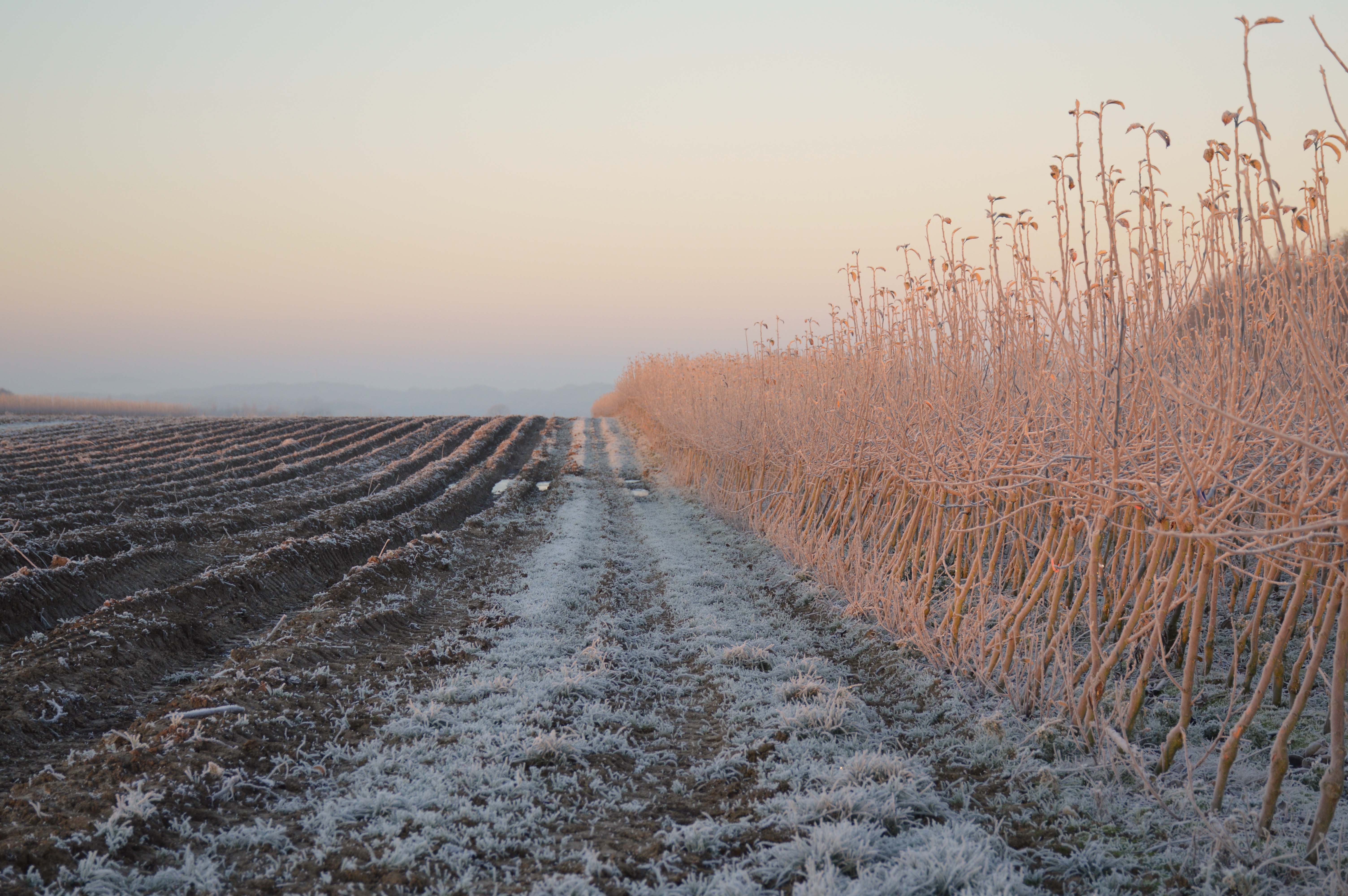 winter-wonderland-in-zuid-limburg