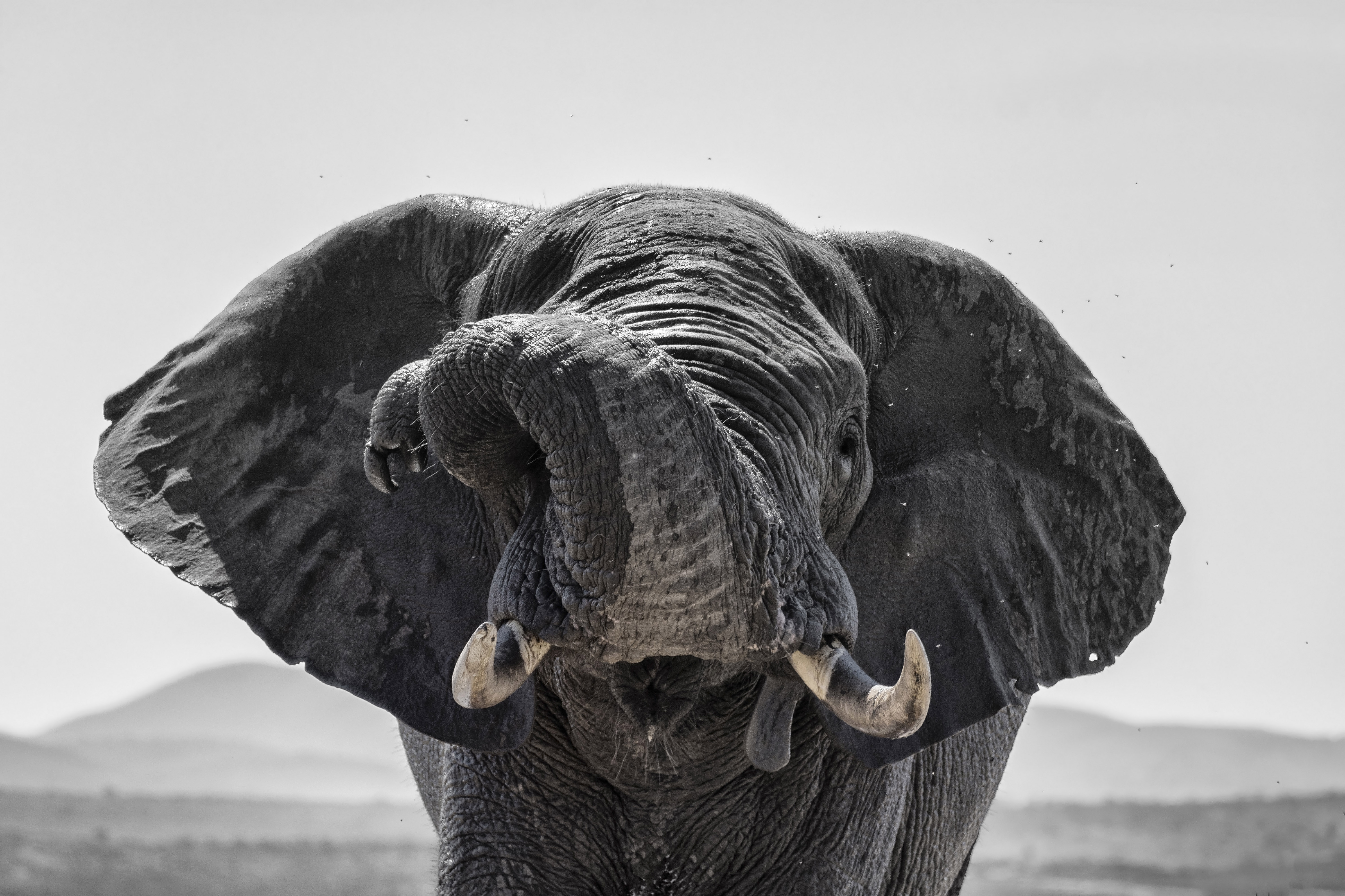 tot-hier-en-niet-verder-1