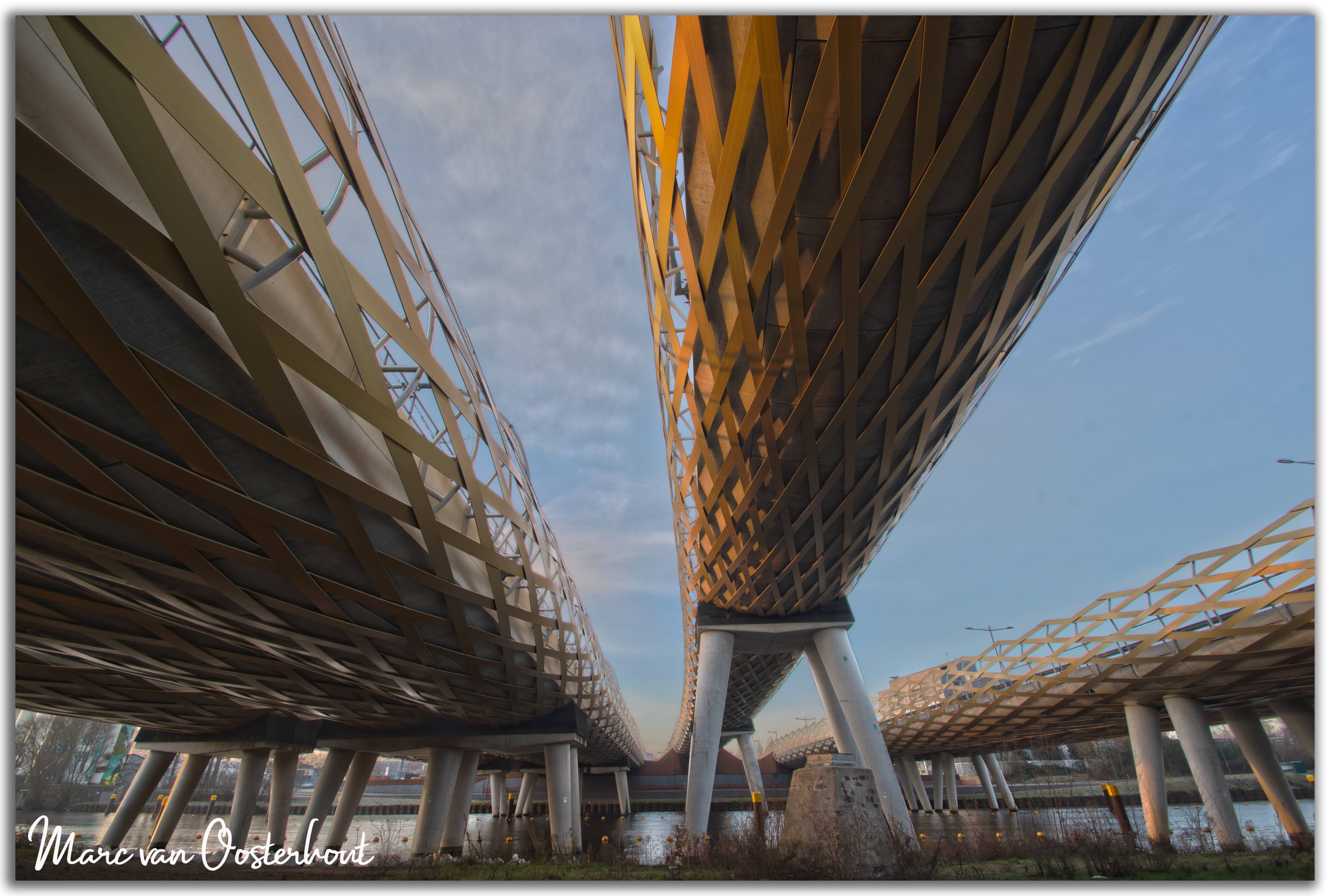 royal-welsh-bruggen-in-de-mandela-staat-in-den-bosch