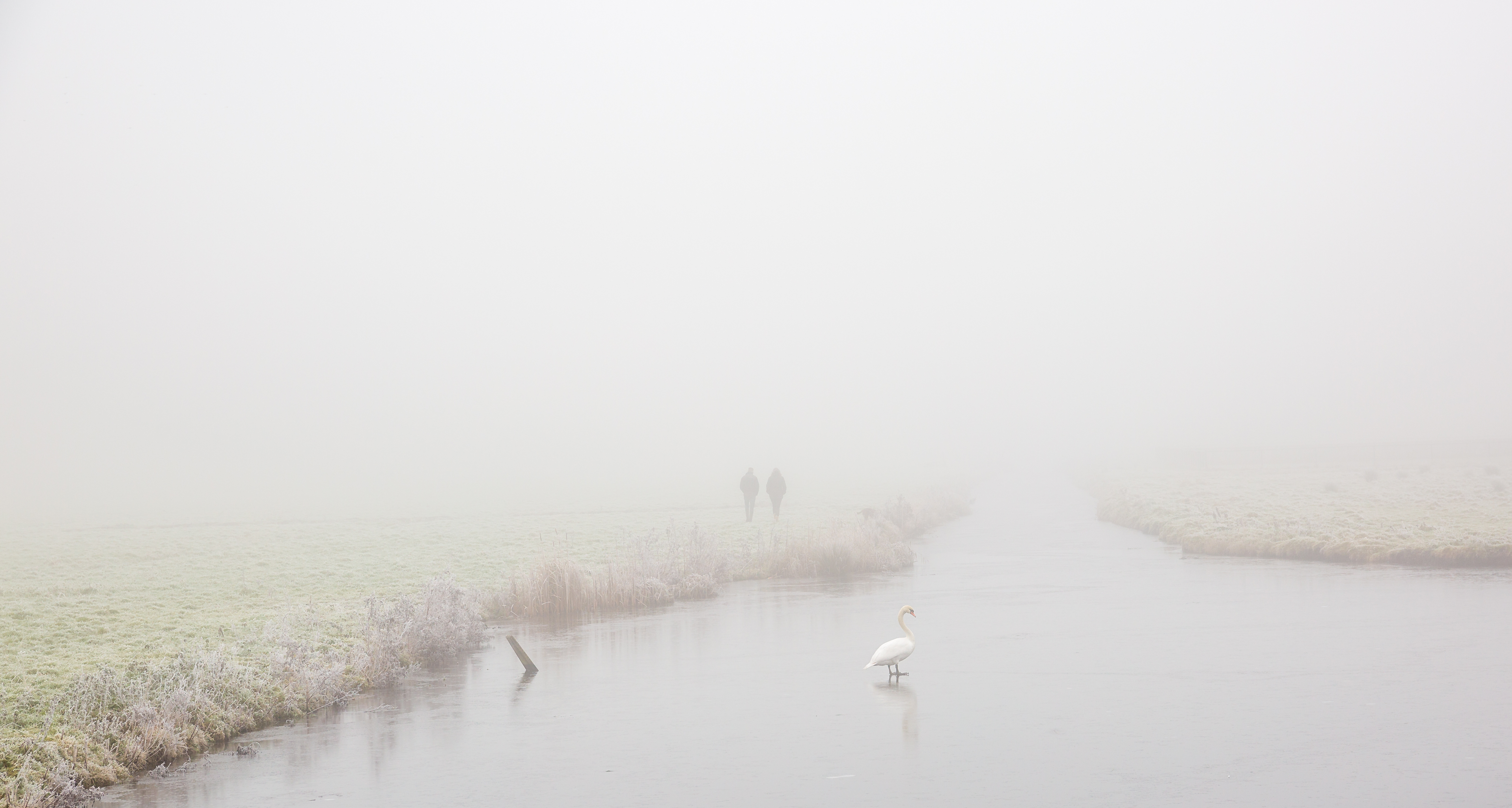 mist-in-de-middelpolder
