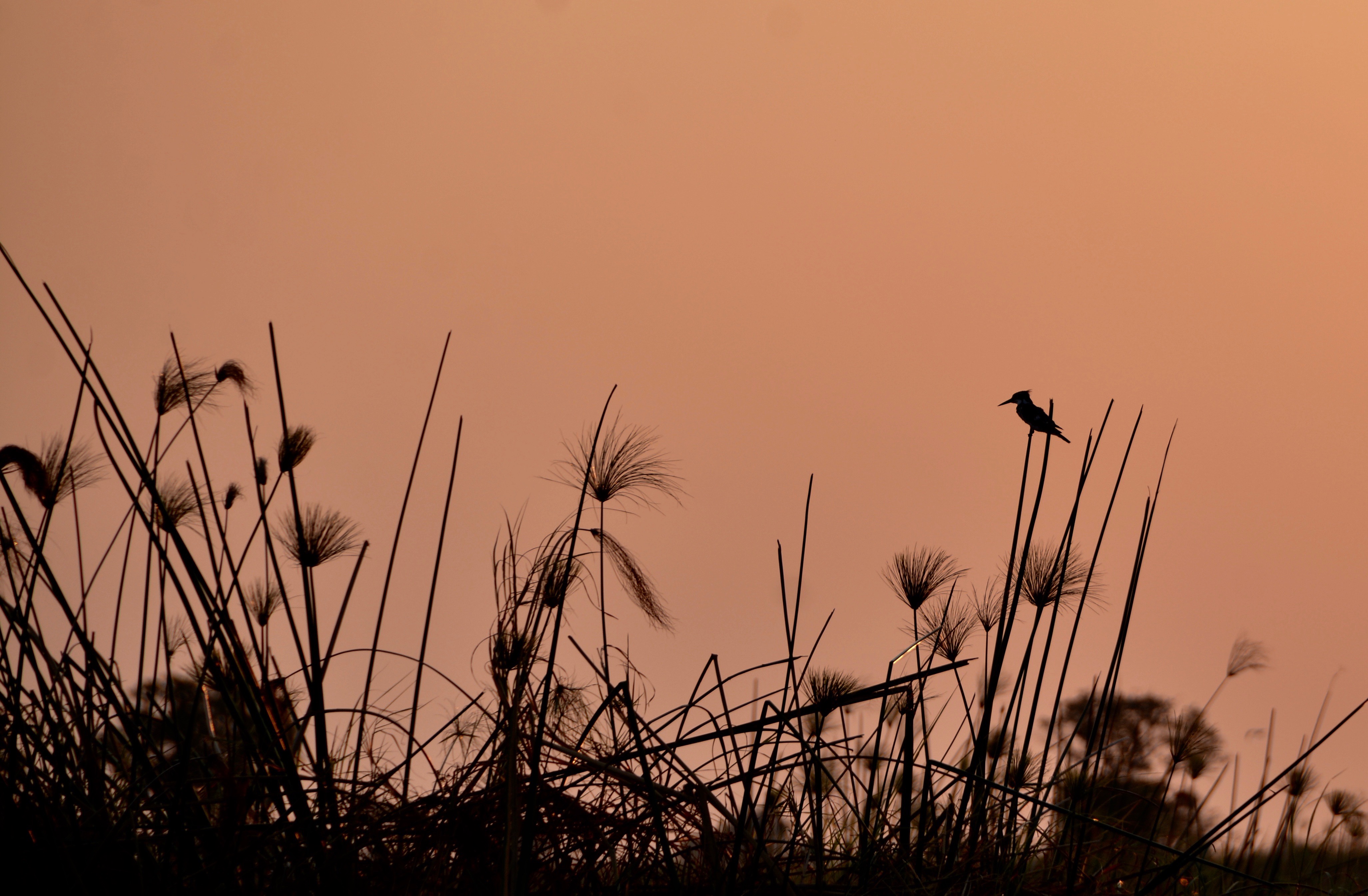 voordat-de-zon-ondergaat