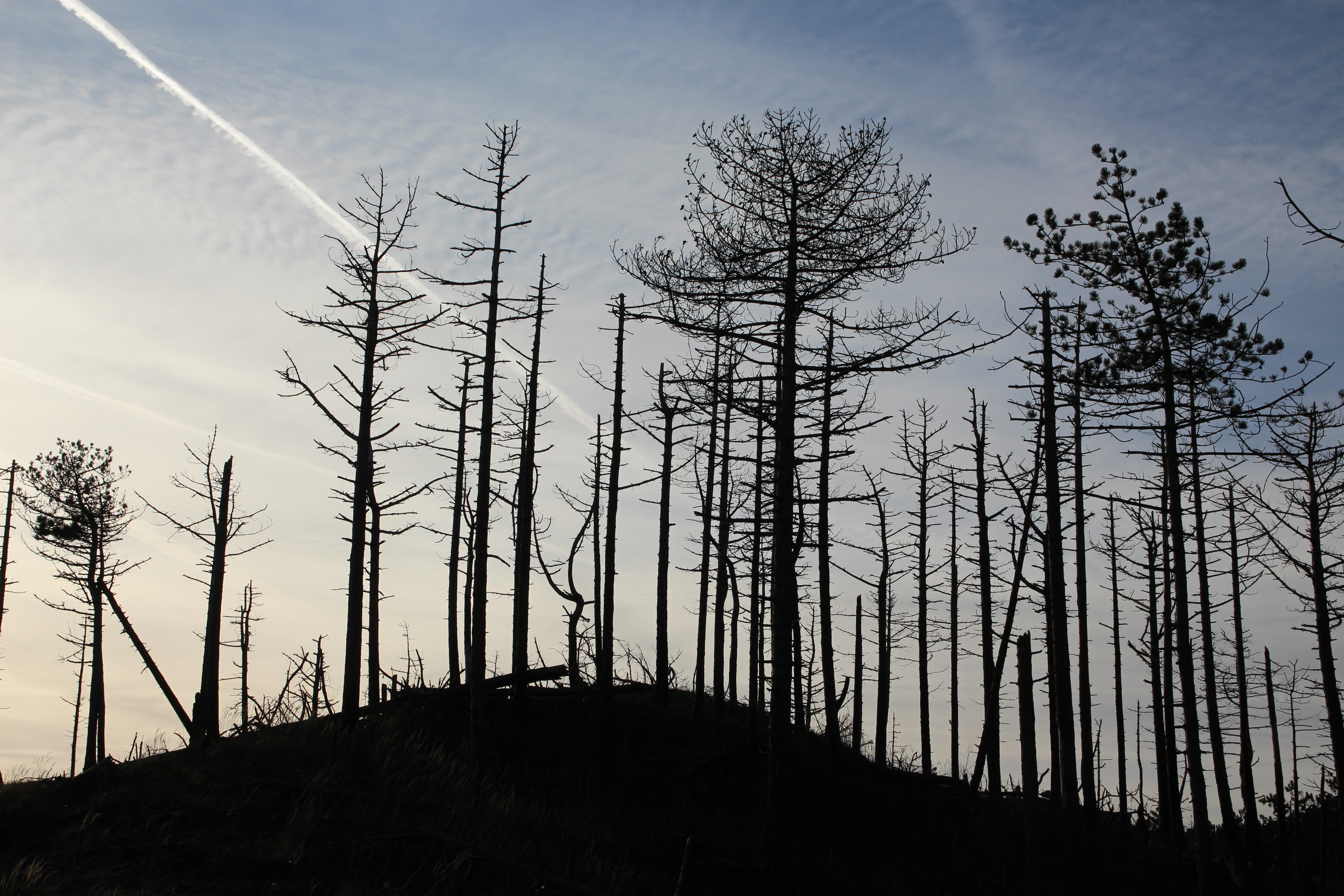 roet-route-schoorl-0