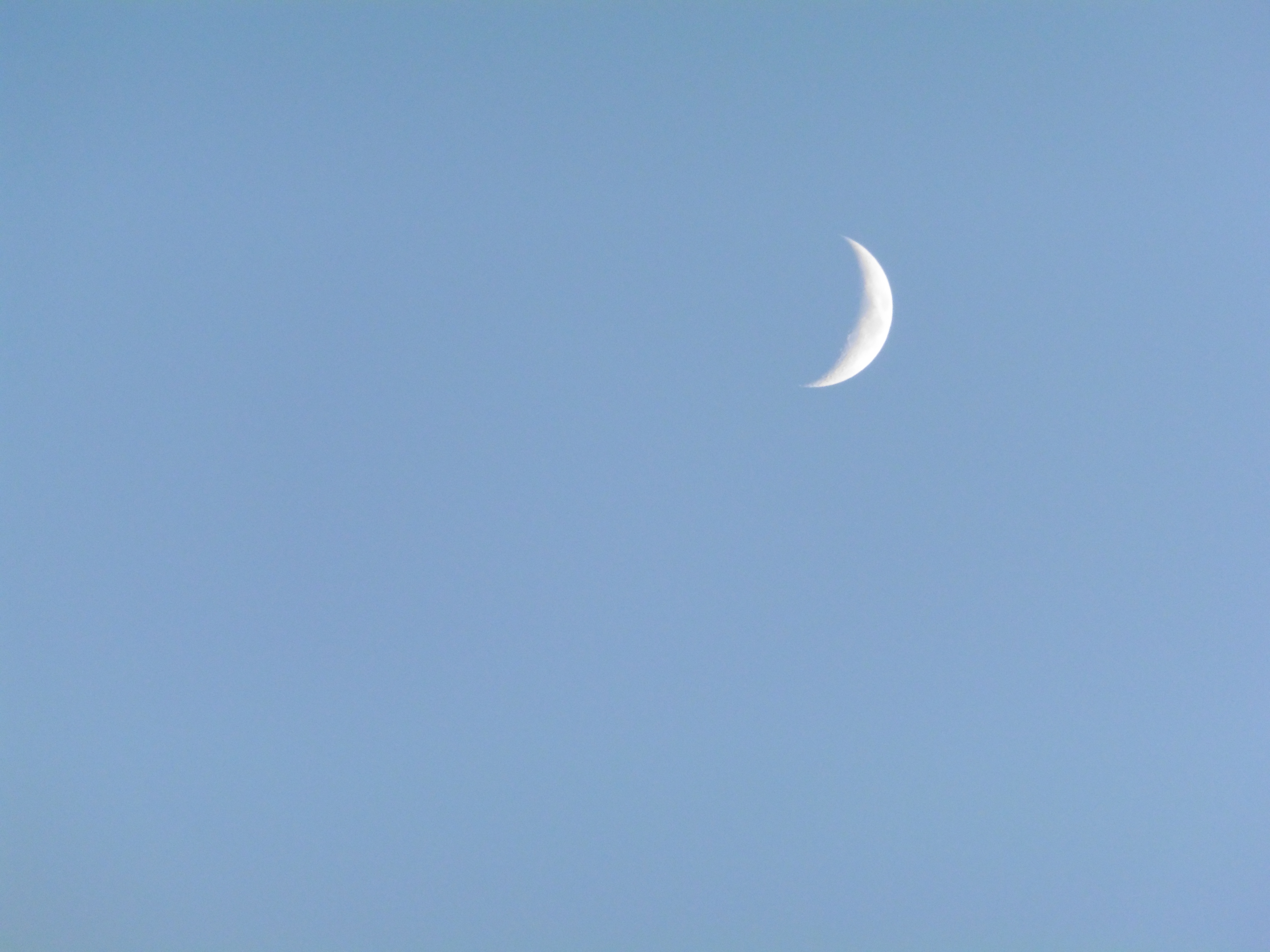 winter-wonderland-0-4