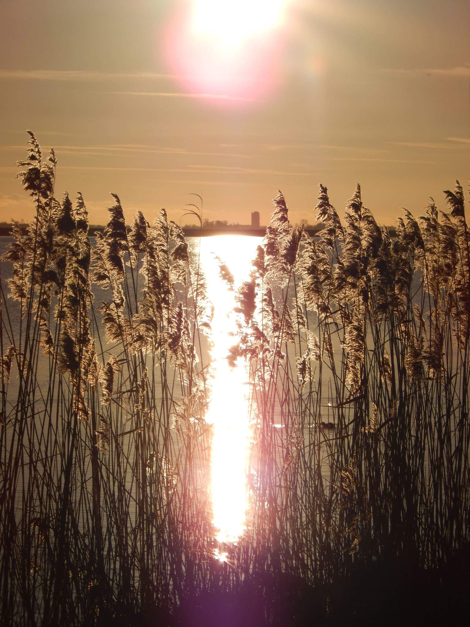 genieten-van-het-zonnetje-in-de-winter