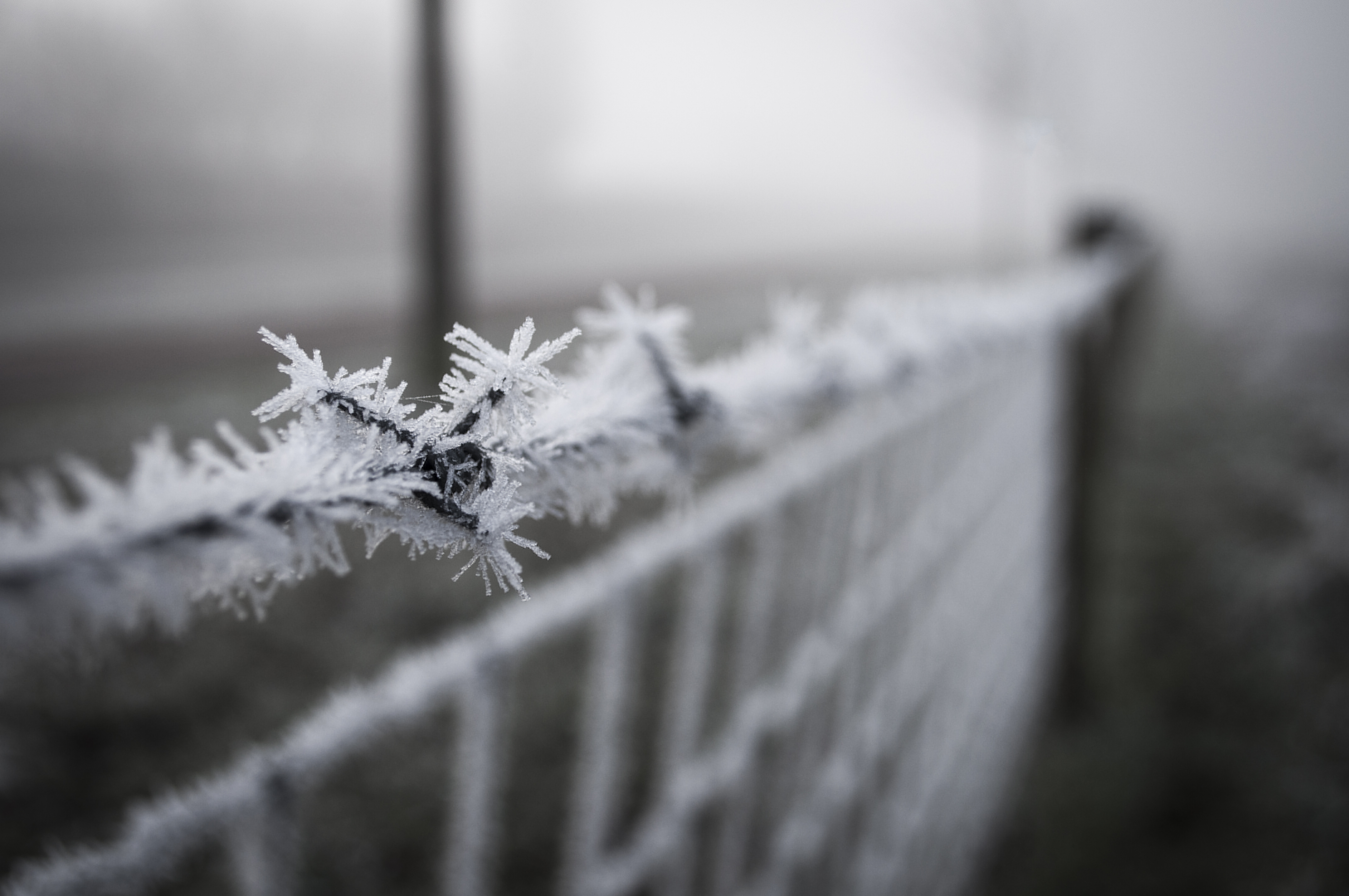 to-cold-barbed-wire
