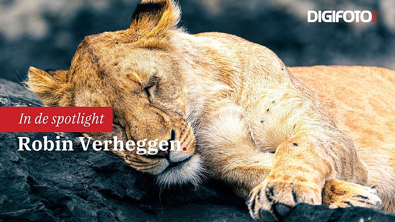 spotlight-van-de-week-27-digifoto-pro-gallery-0