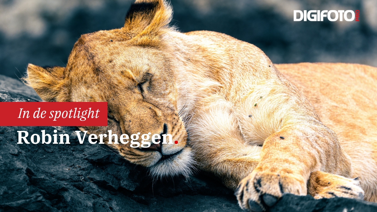 spotlight-van-de-week-27-digifoto-pro-gallery-0