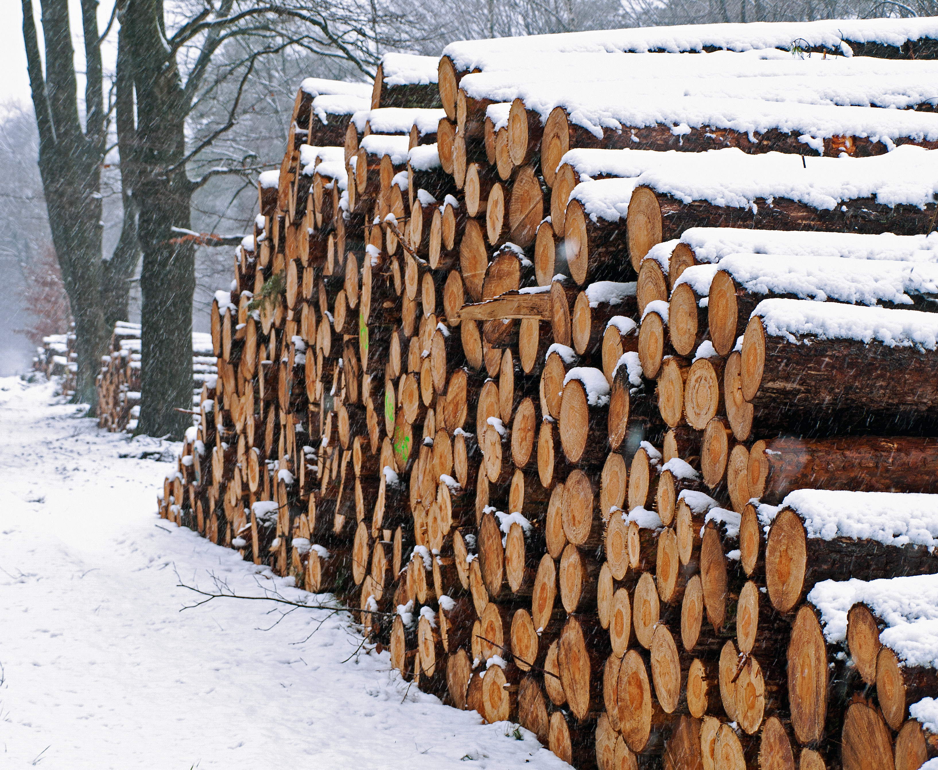 gelukkig-is-er-hout-voor-bij-de-kachel