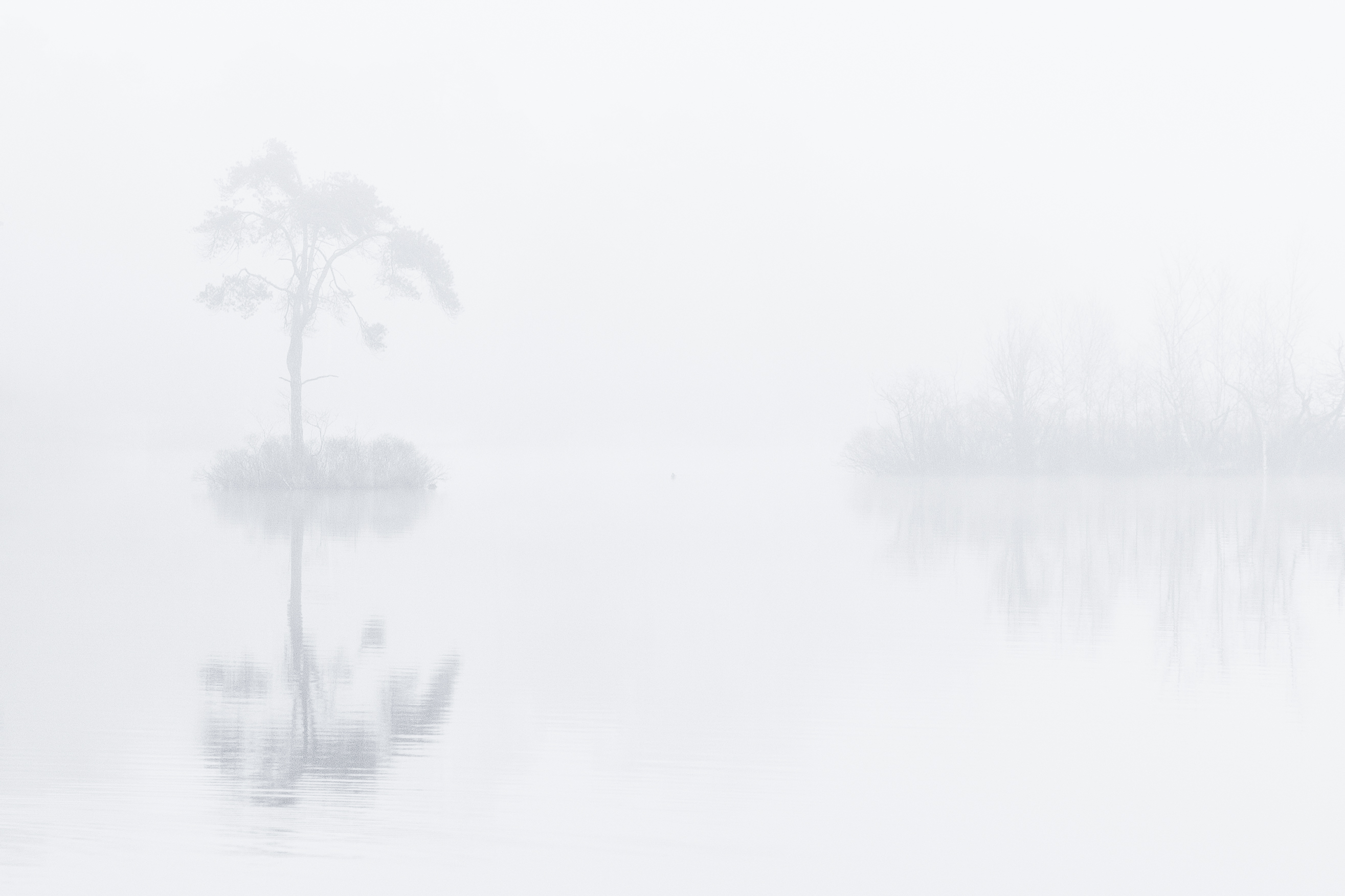 misty-morning-7