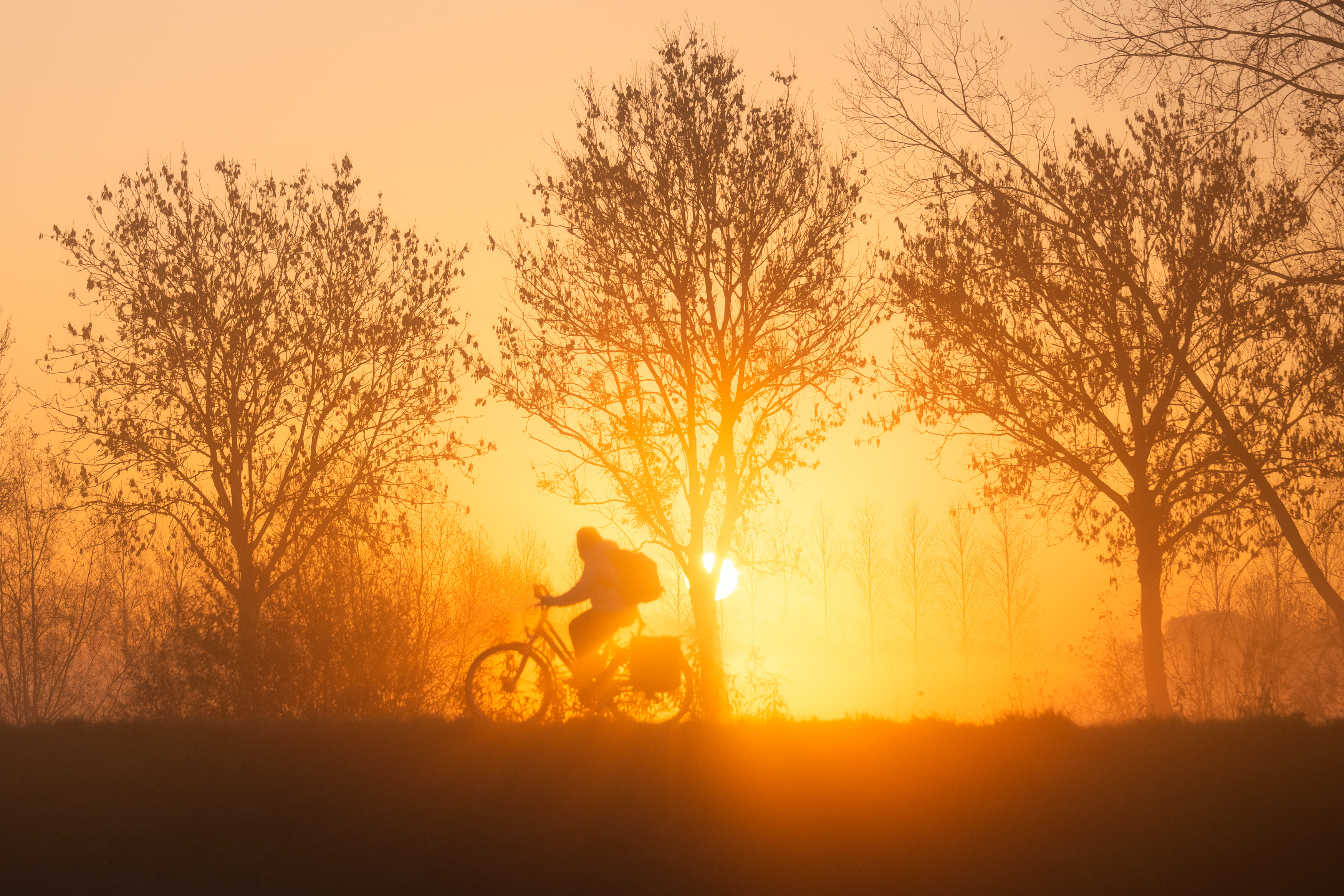 hoe-sterk-is-de-eenzame-fietser-langs-de-schelde