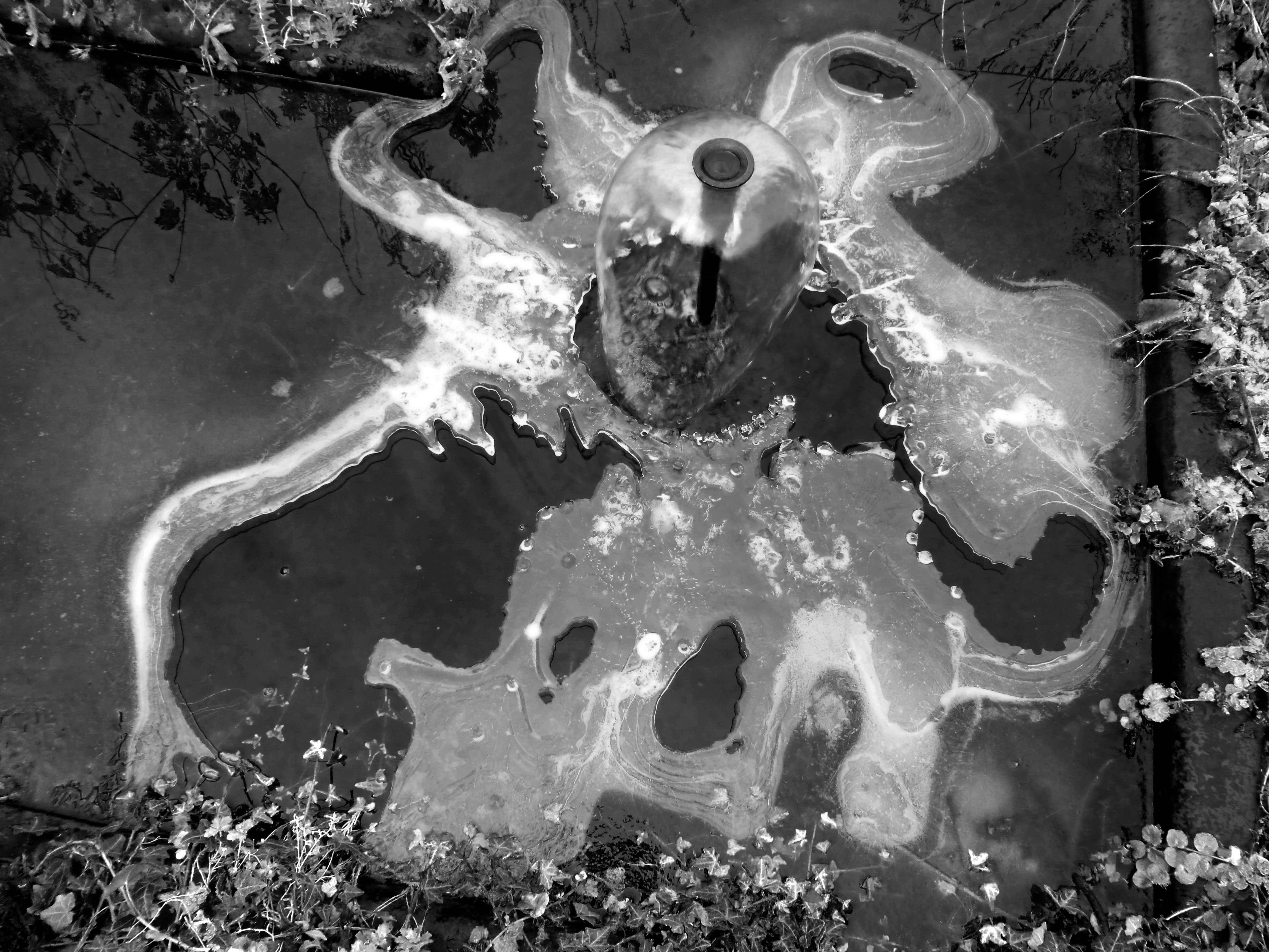 bevroren-resten-in-mijn-achtertuin