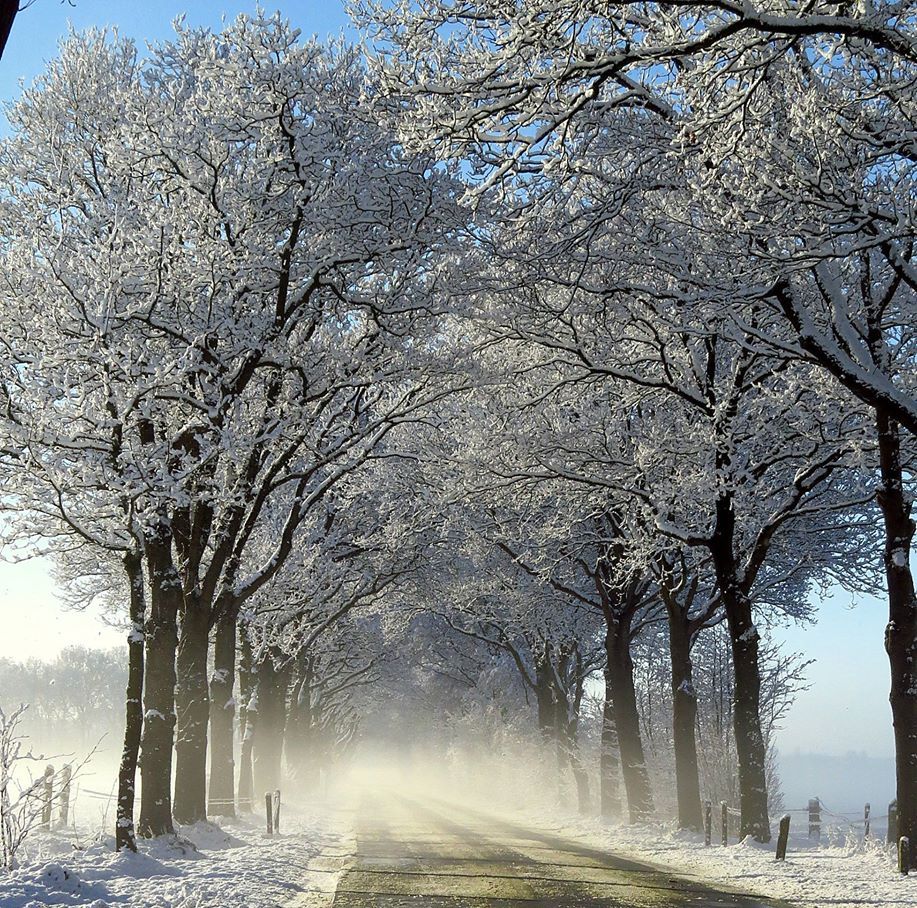 winter-in-friesland-1