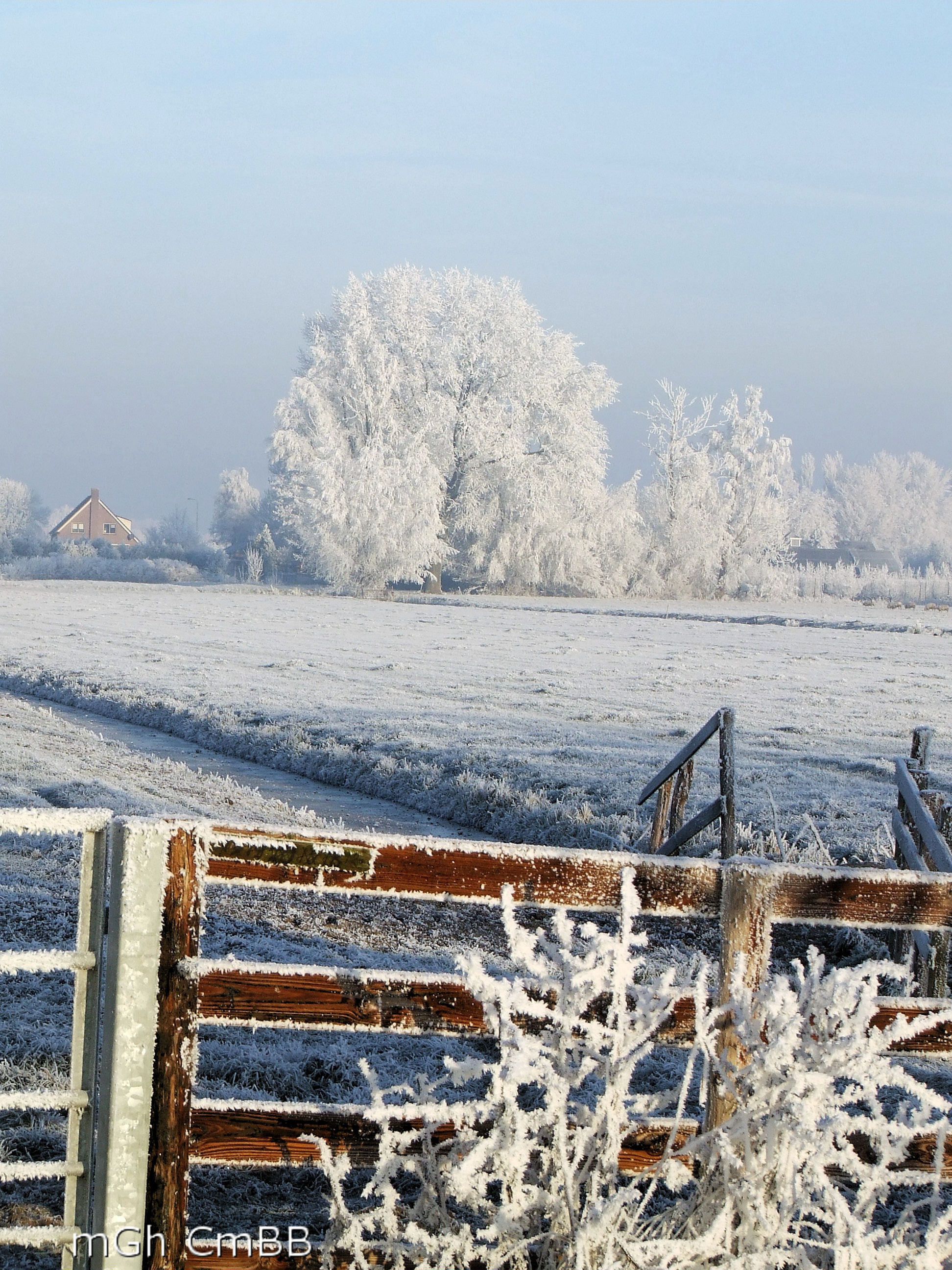 winter-wonderland-13