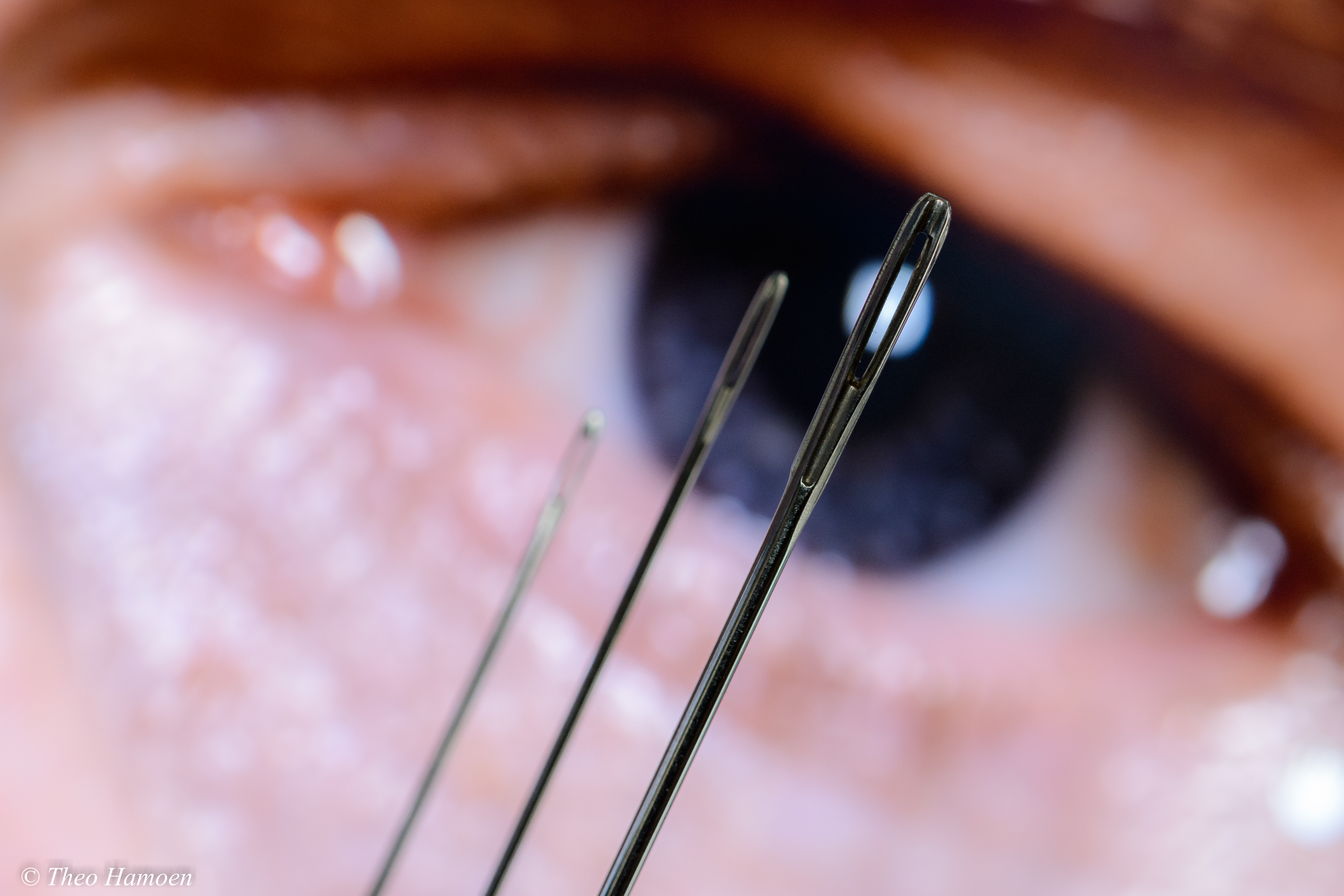 kleine-scherptediepte-door-het-oog-van-de-naald