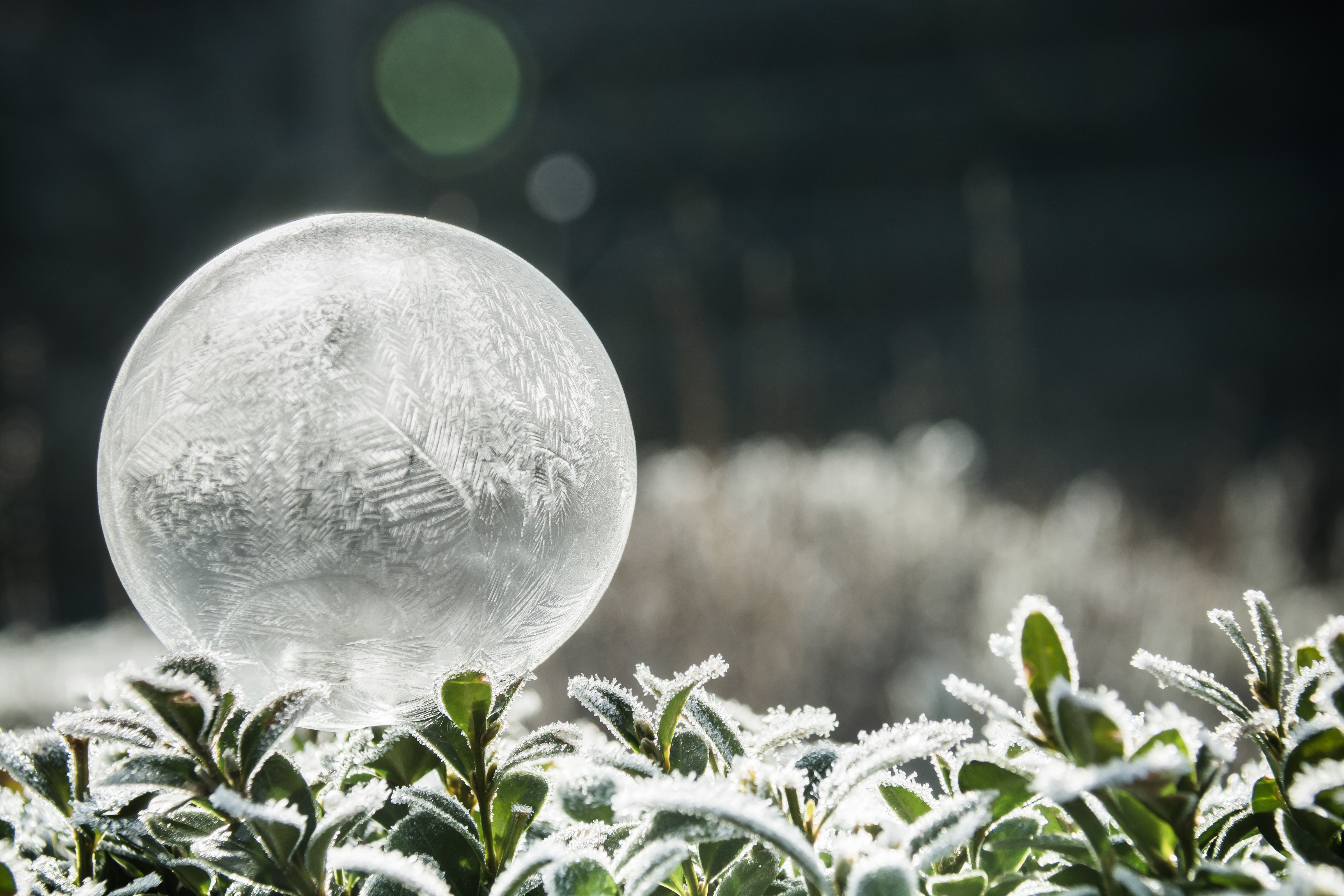 de-wondere-wereld-van-ijsballen