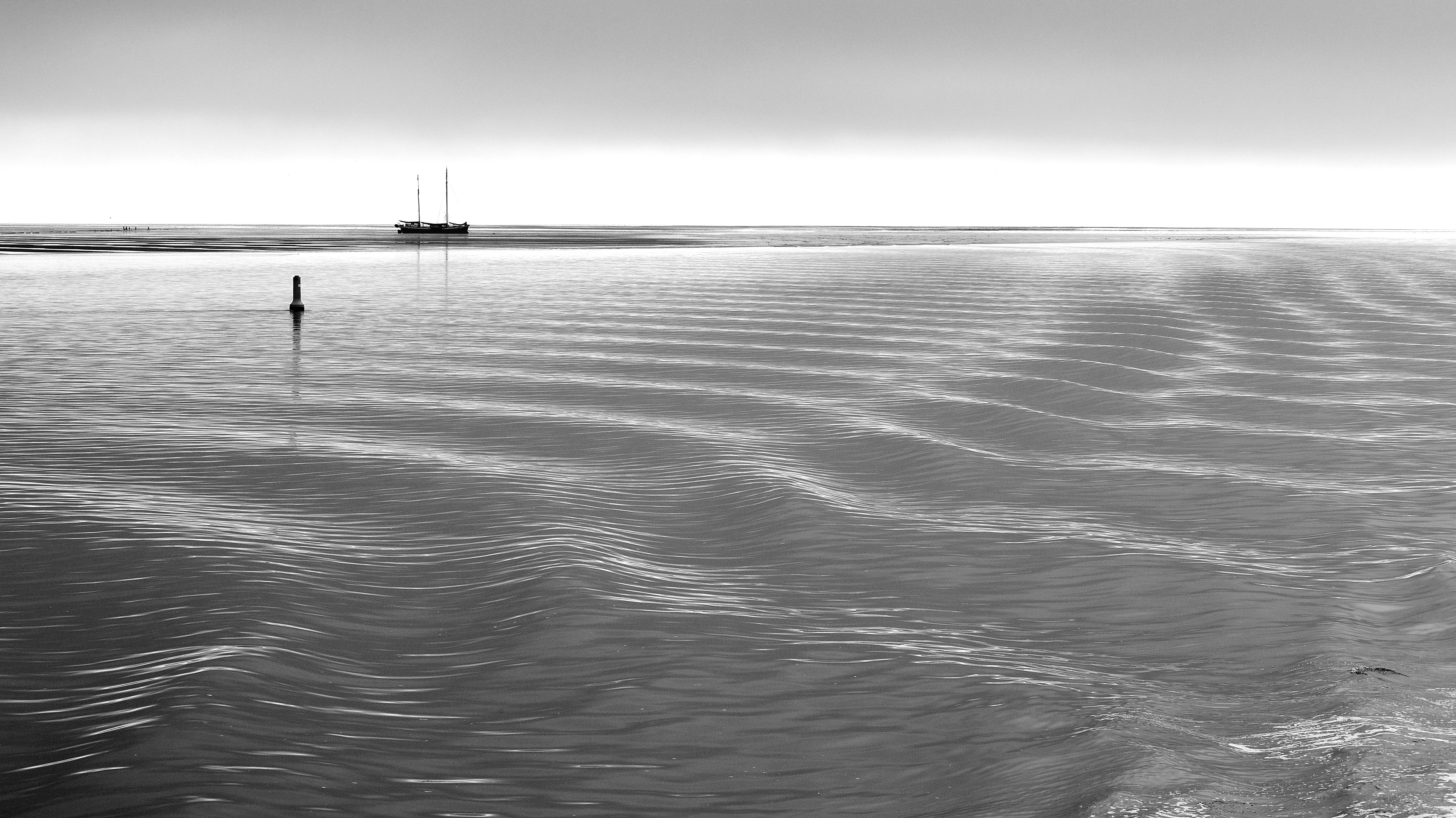 waddenzee-3