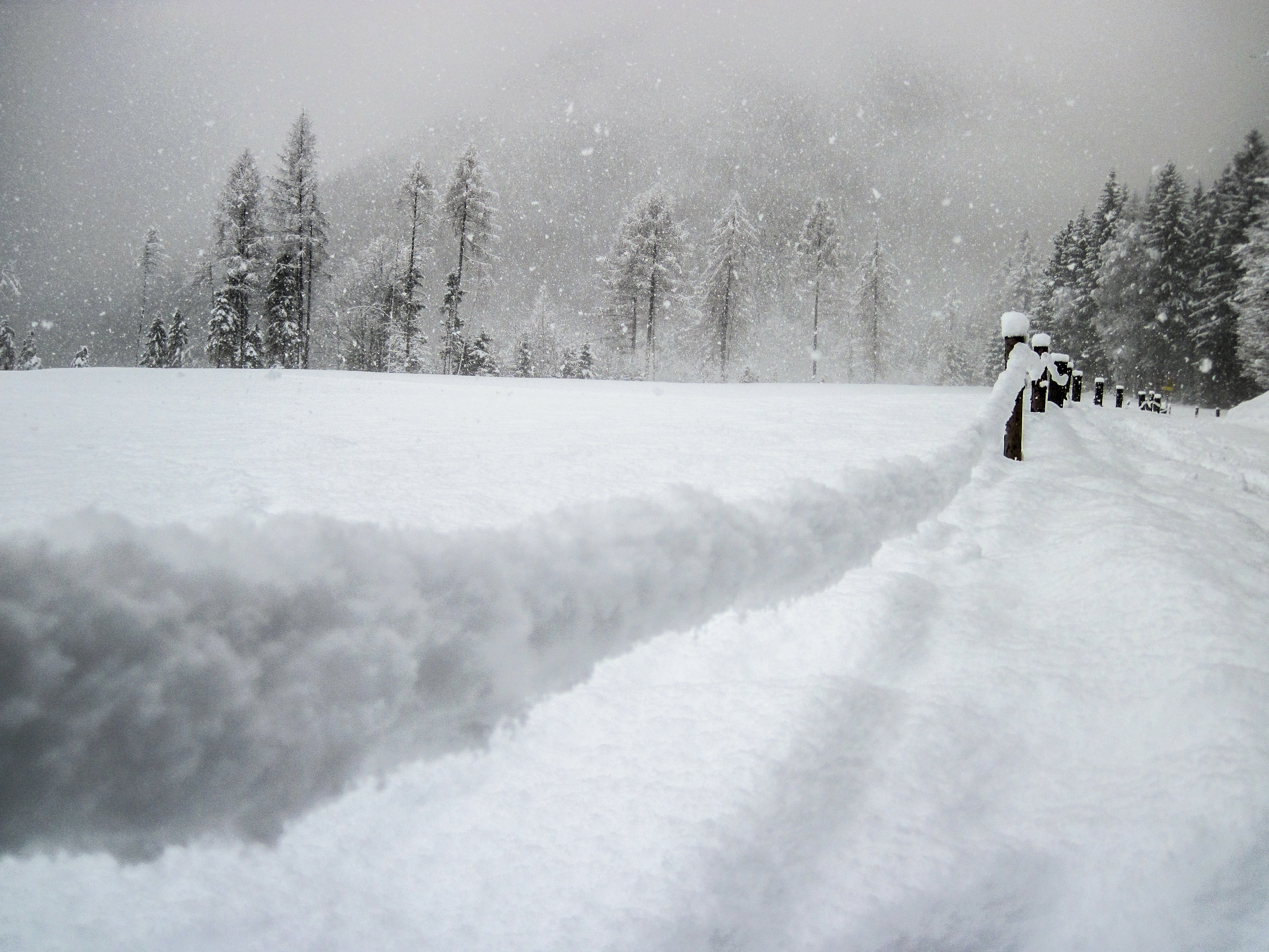 winter-wonderland-14