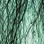 homeless-during-the-winter