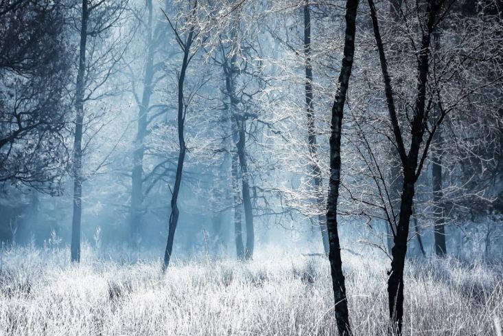 fotowedstrijd-winter-wonderland