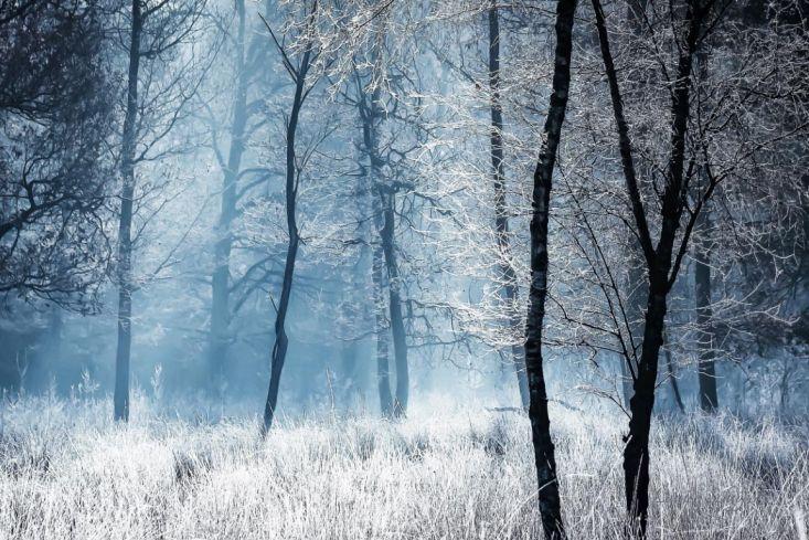 fotowedstrijd-winter-wonderland