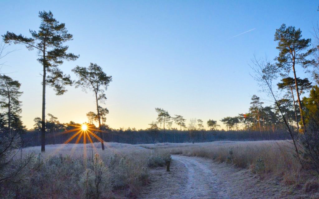 koud-met-een-zonnetje