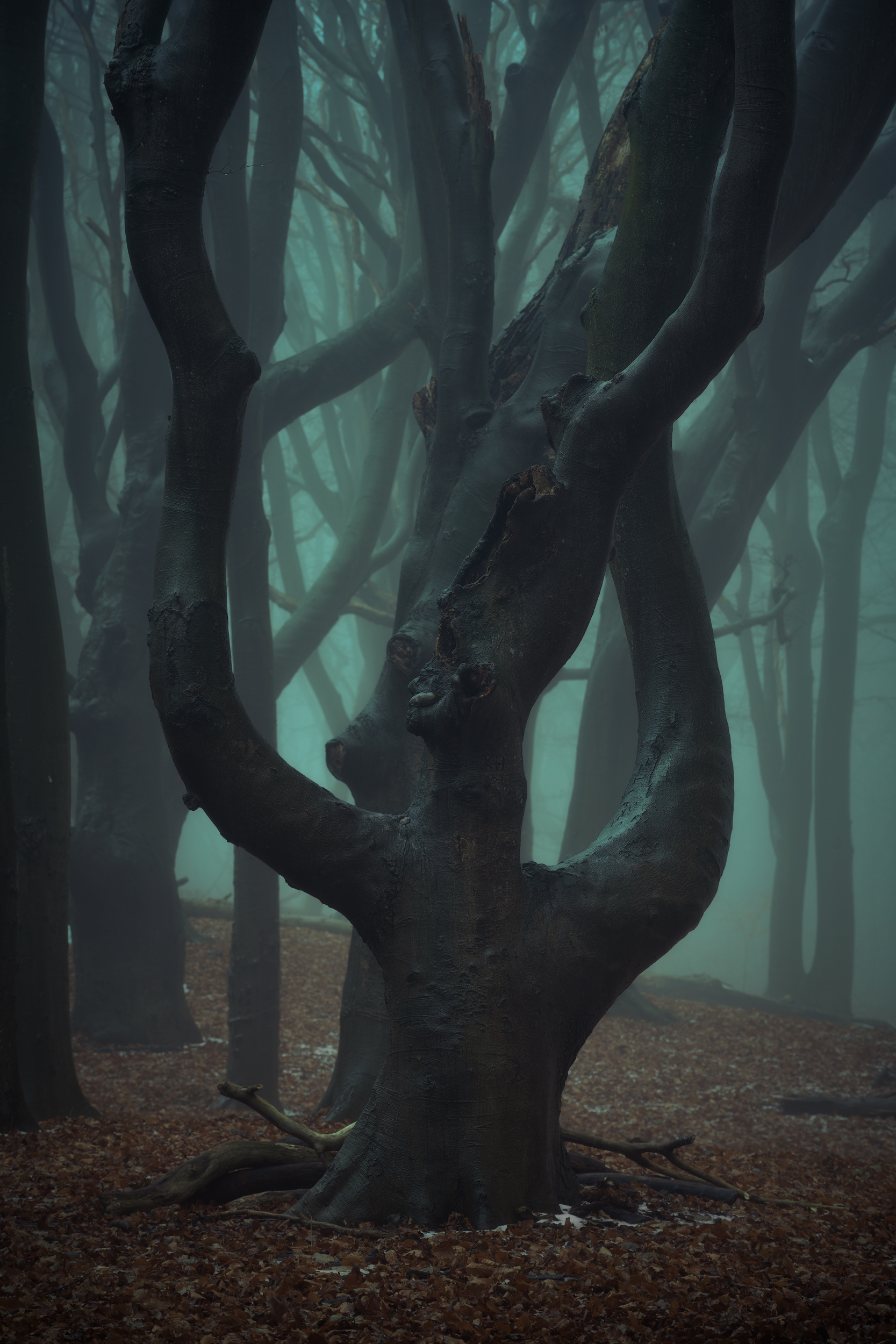 put-your-hands-up-in-the-air