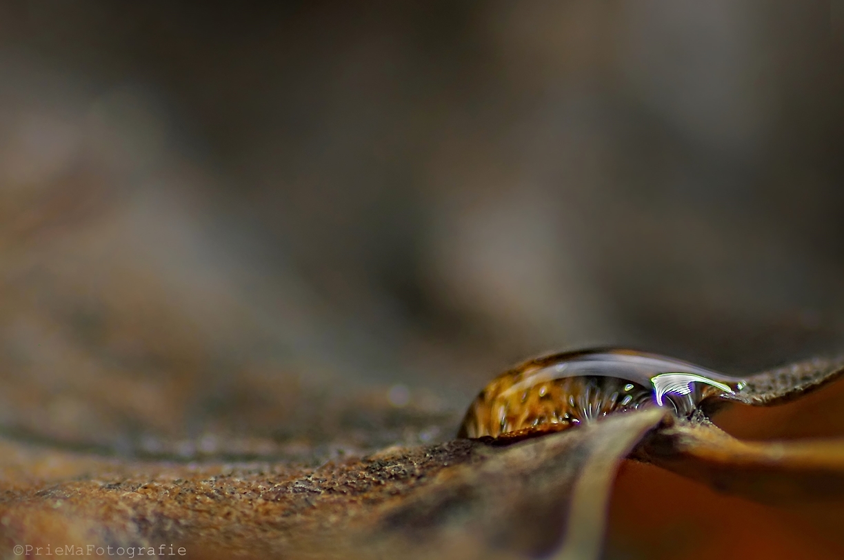 het-was-koud-vandaag-en-nat