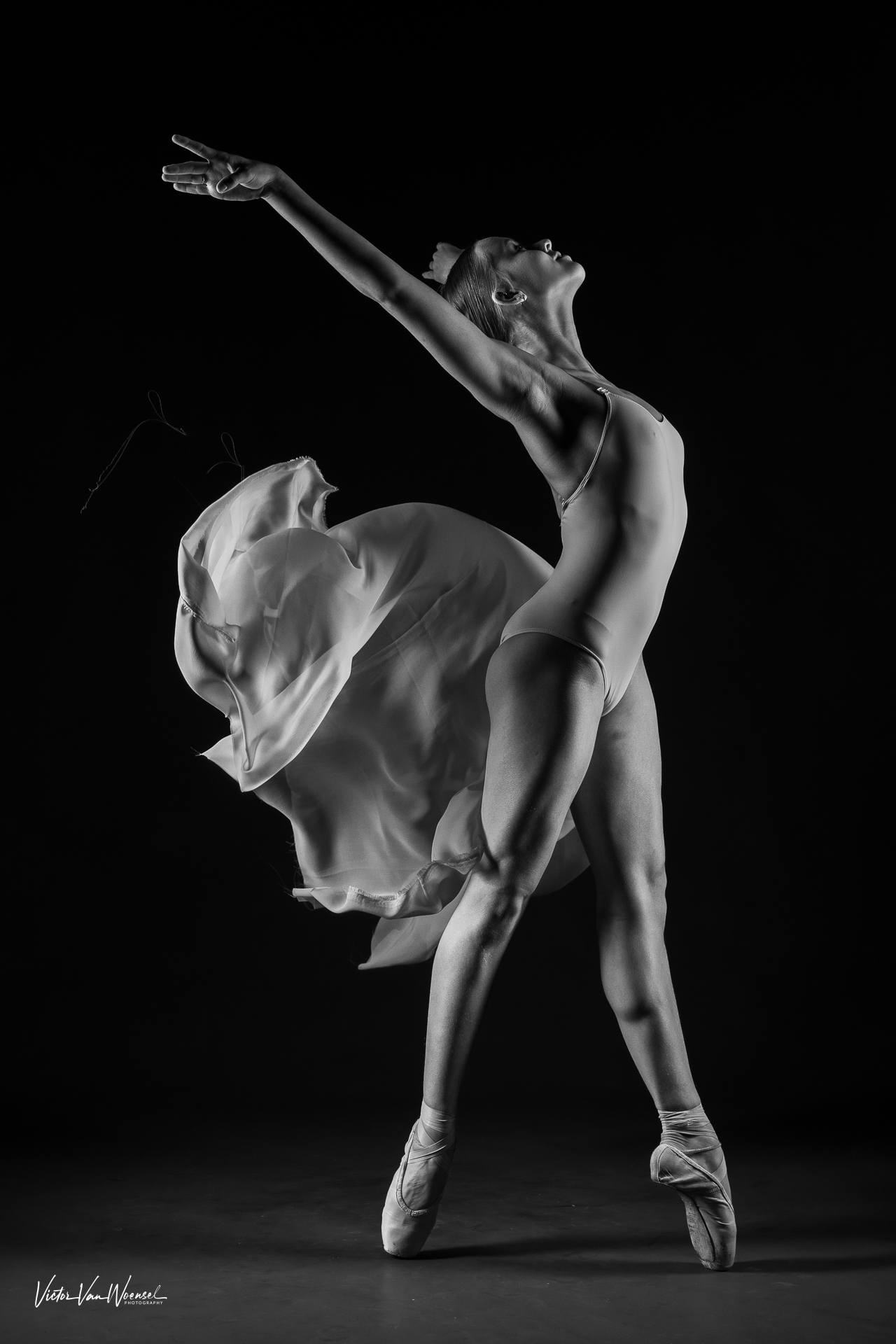 lana-danst-iii