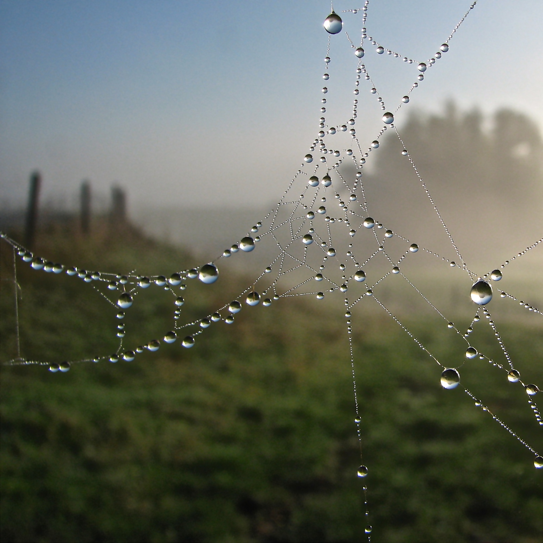 herfst-in-de-uiterwaarden