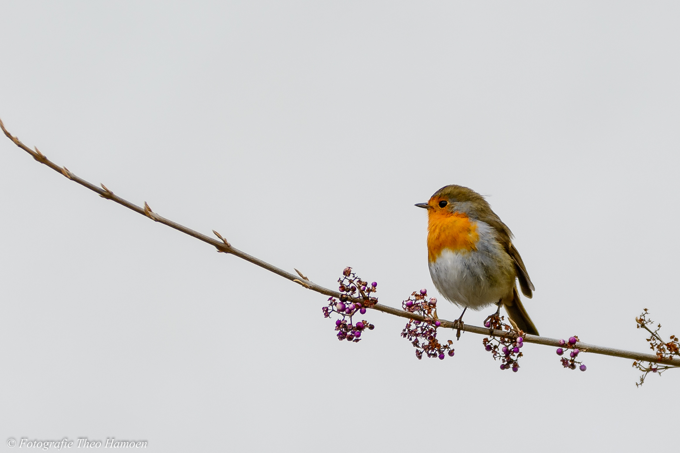 het-wordt-winterbrrrrr