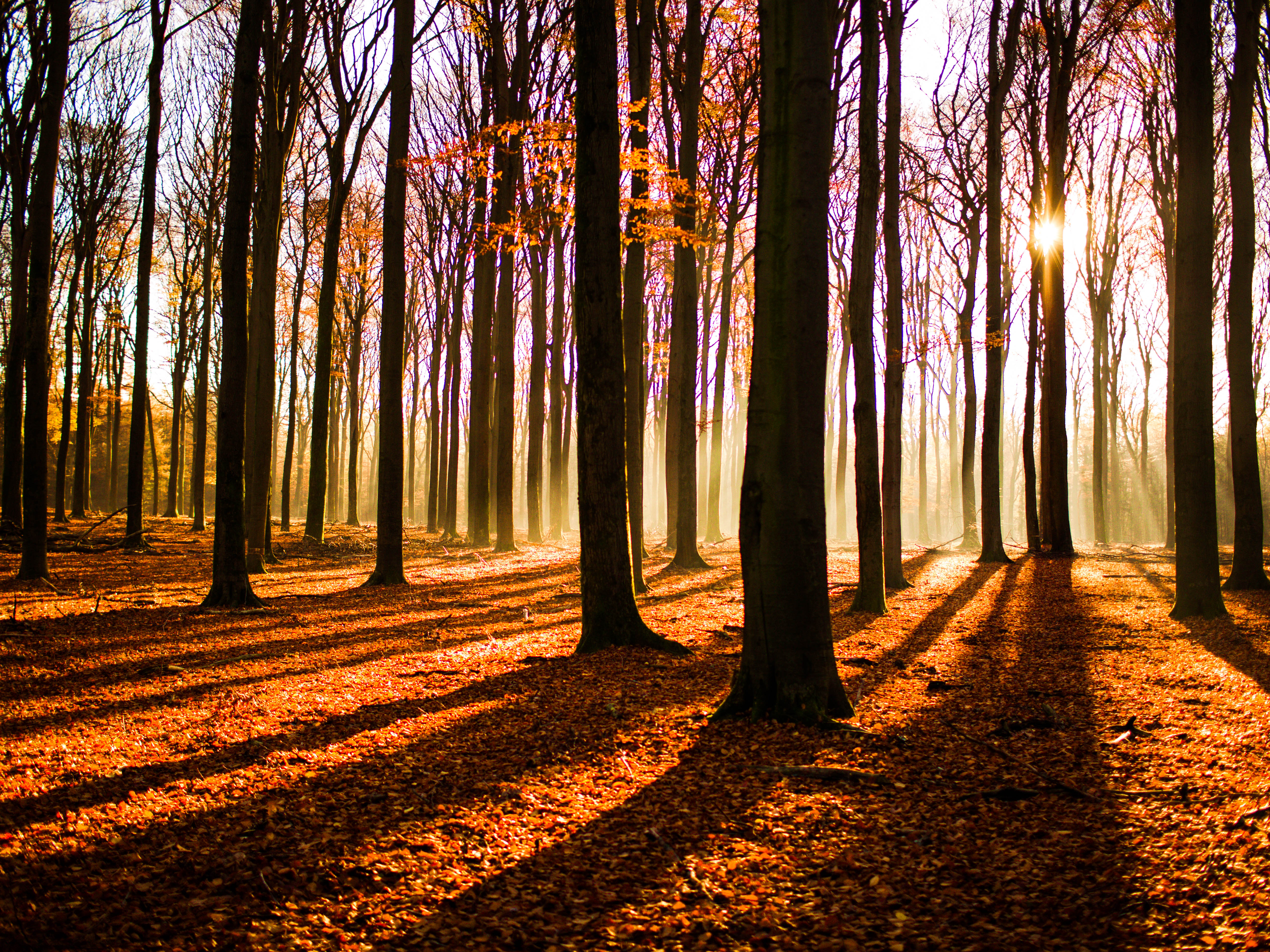 drie-gelderland-18-11-2018-1100-uur