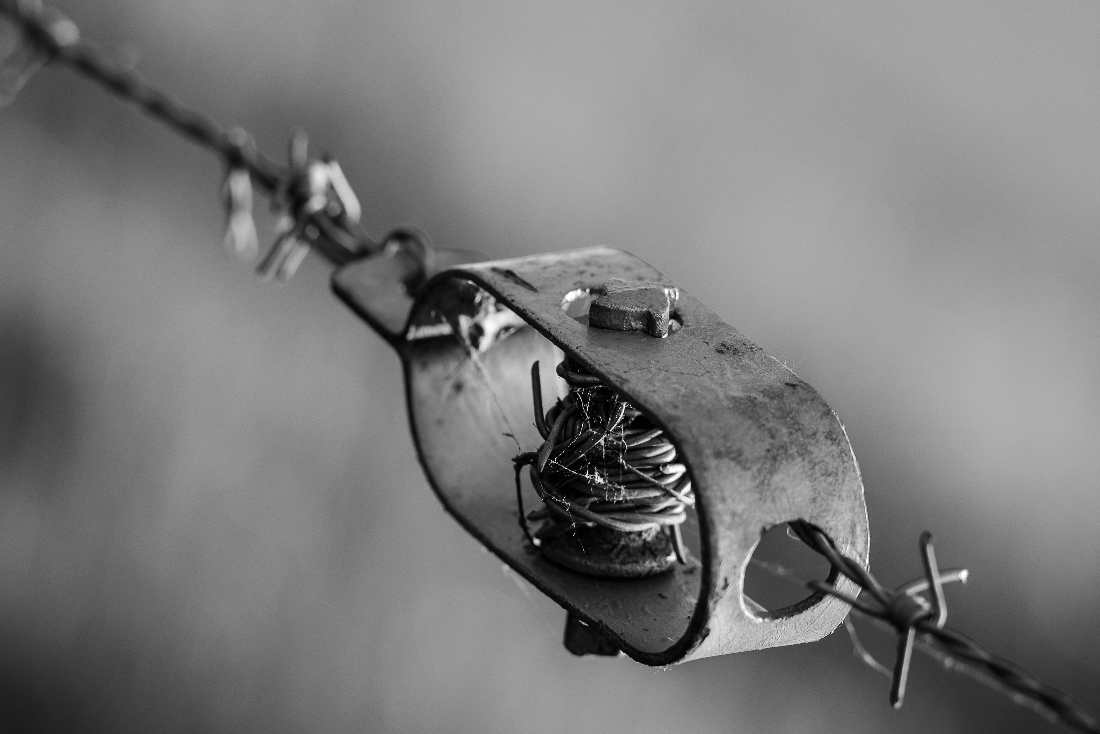 het-eenvoudige-vernuft