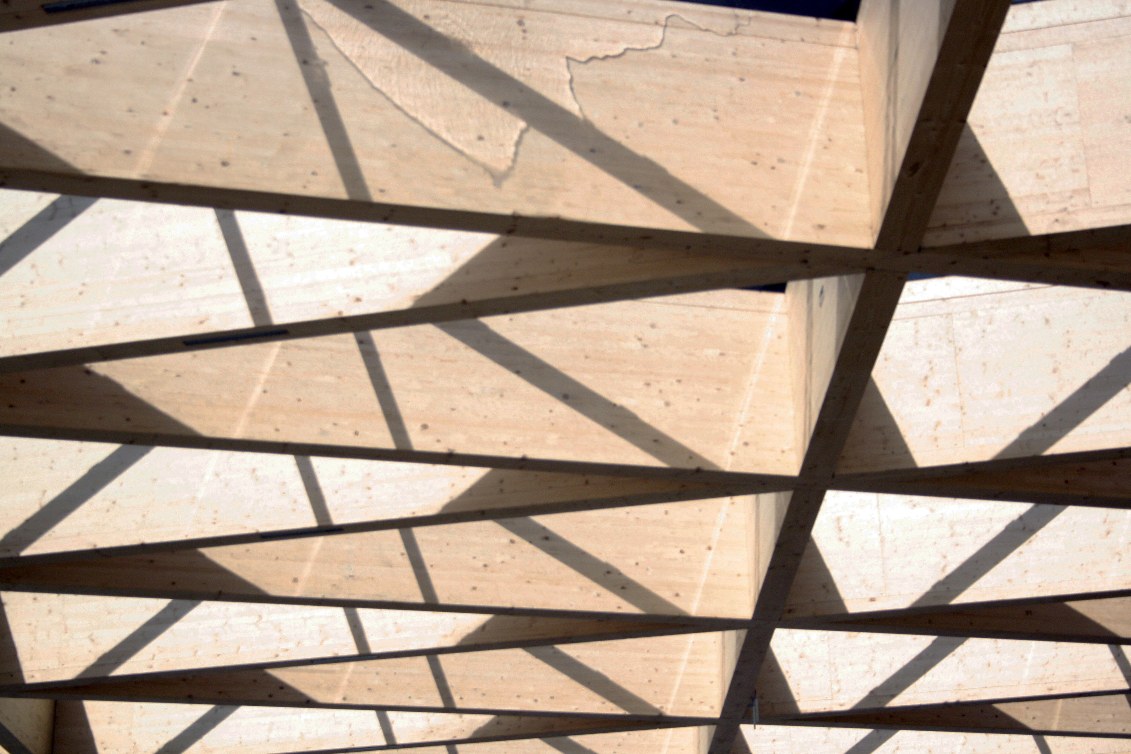 ontvangsthal-keukenhof