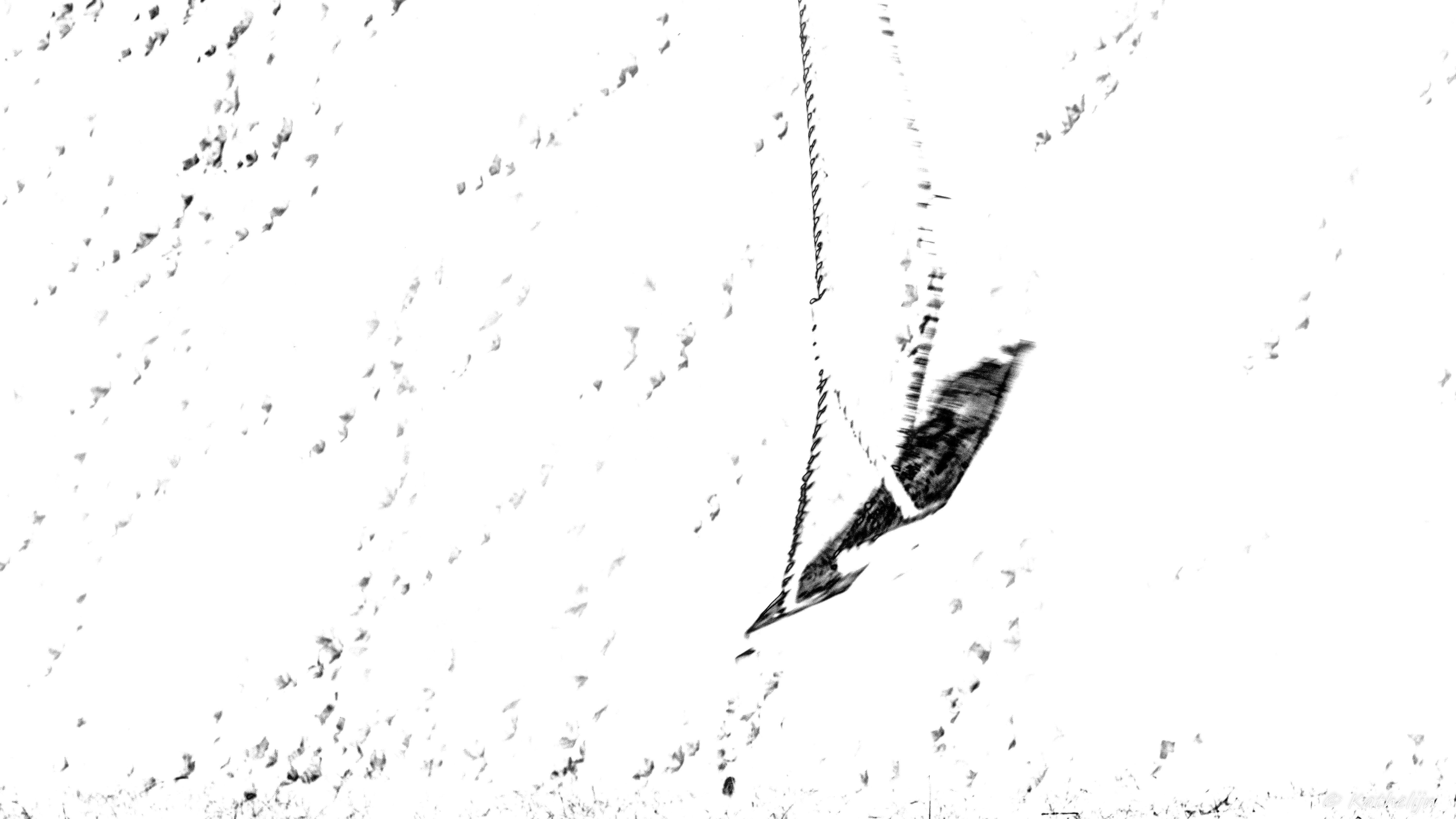 schommel-zonder-kind