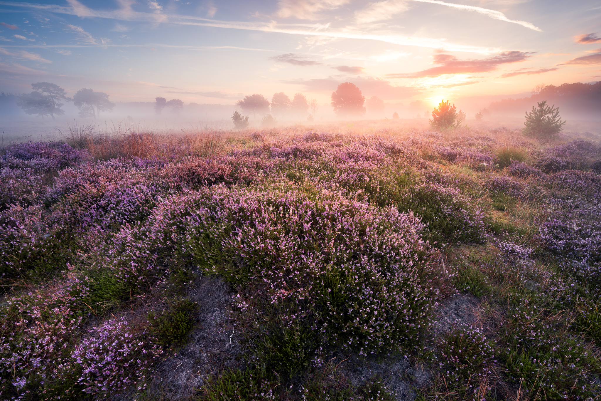 soft-sunset