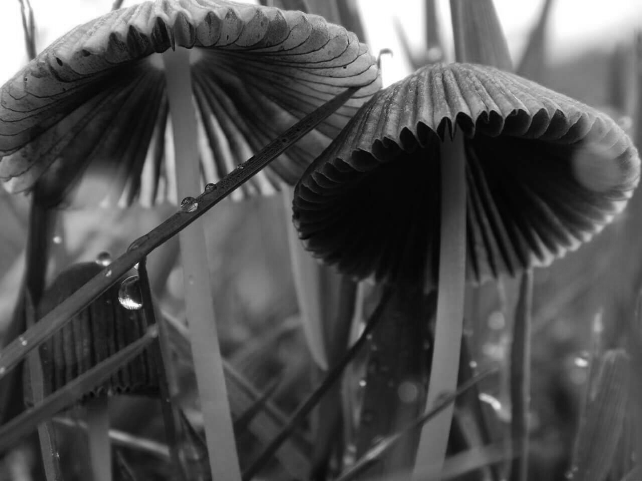 geniet-momentje-in-de-natuur