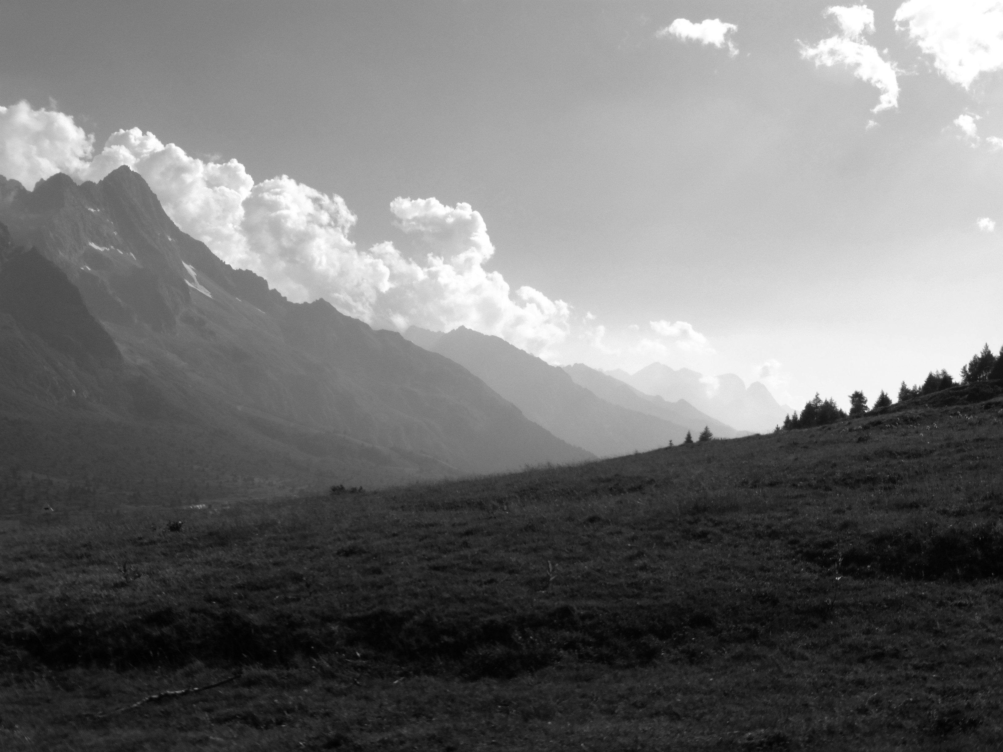 not-all-those-who-wander-are-lost