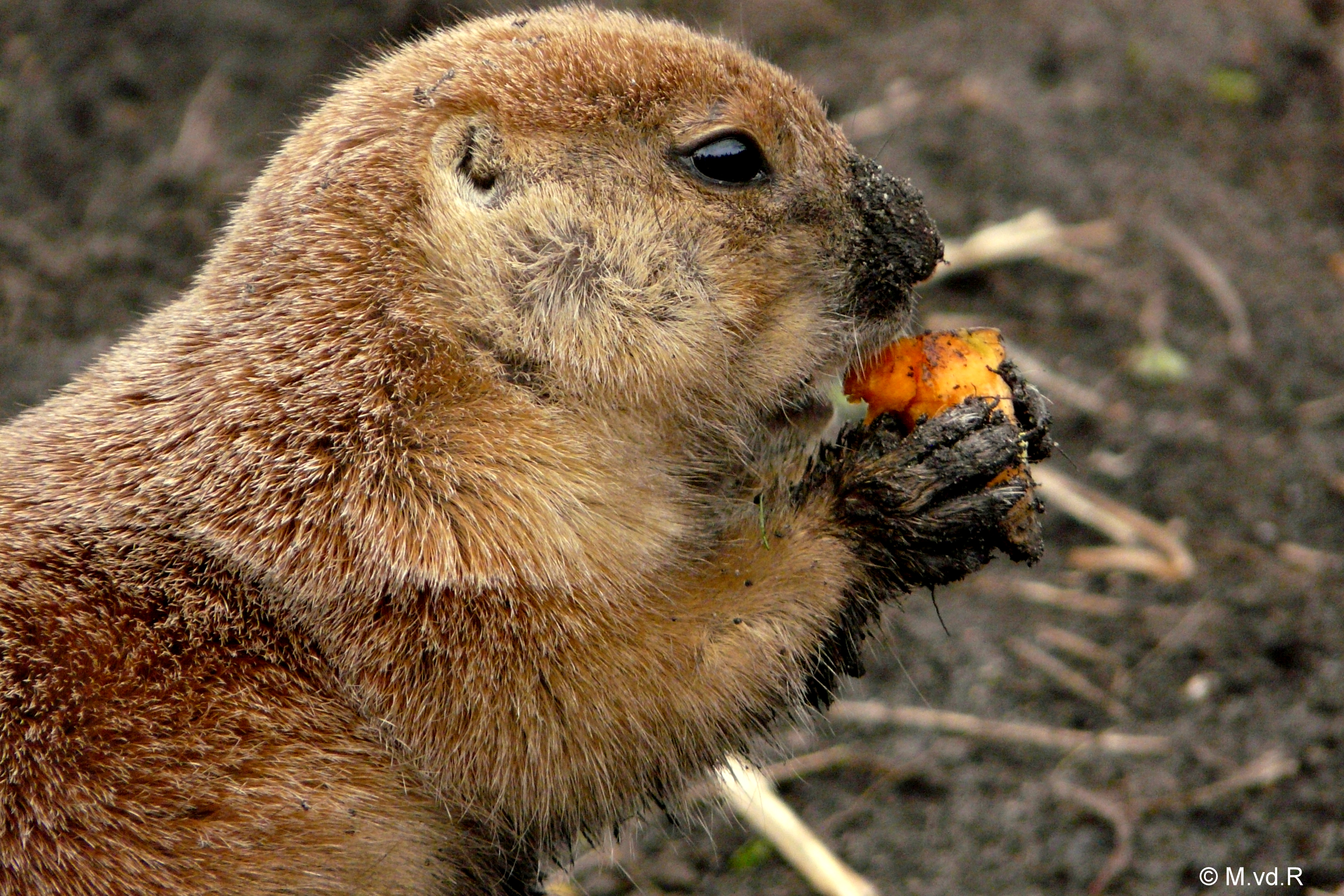 zand-schuurt-de-maag