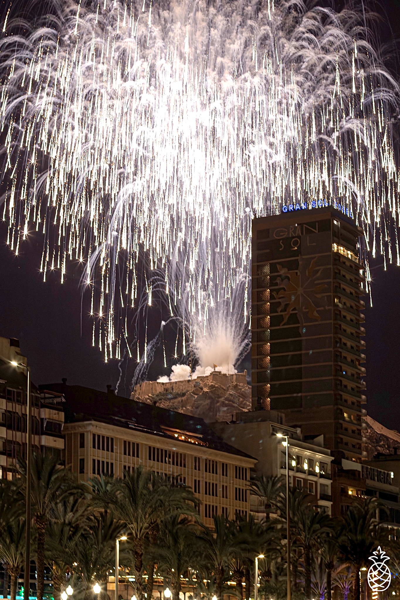 fi%C3%ABsta-en-alicante-0