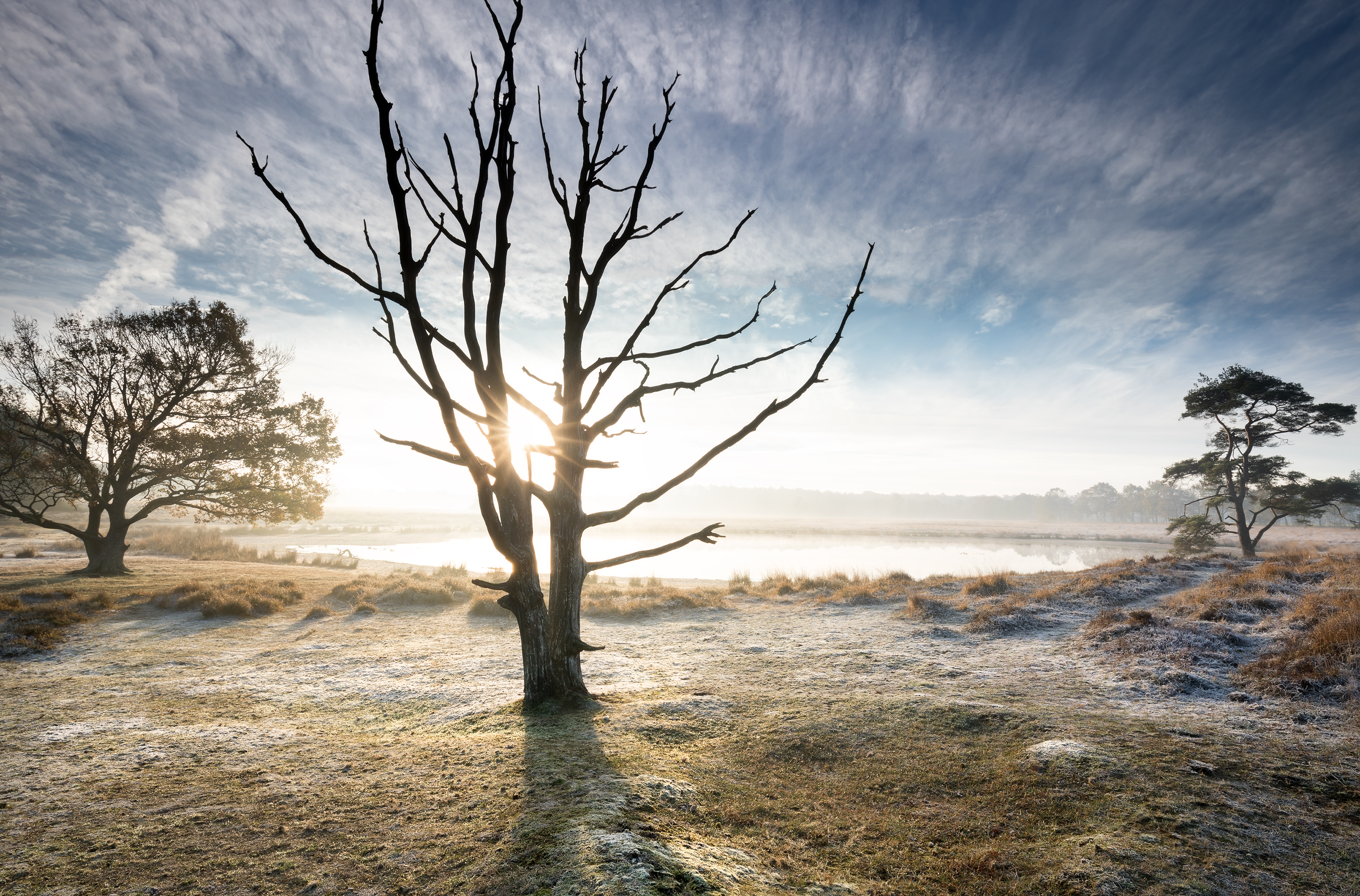 waking-through-the-death