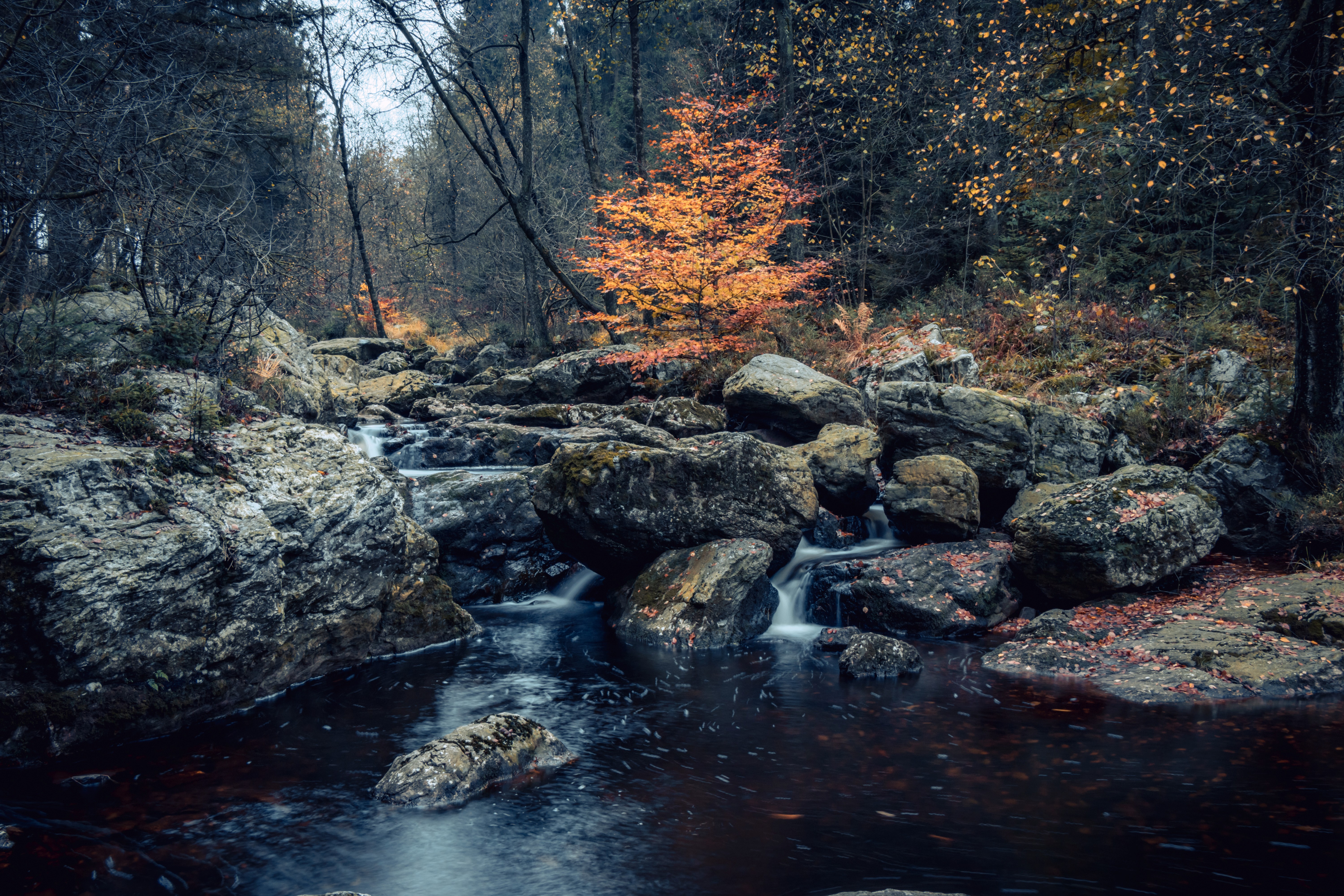 de-hoegne-in-de-herfst-1