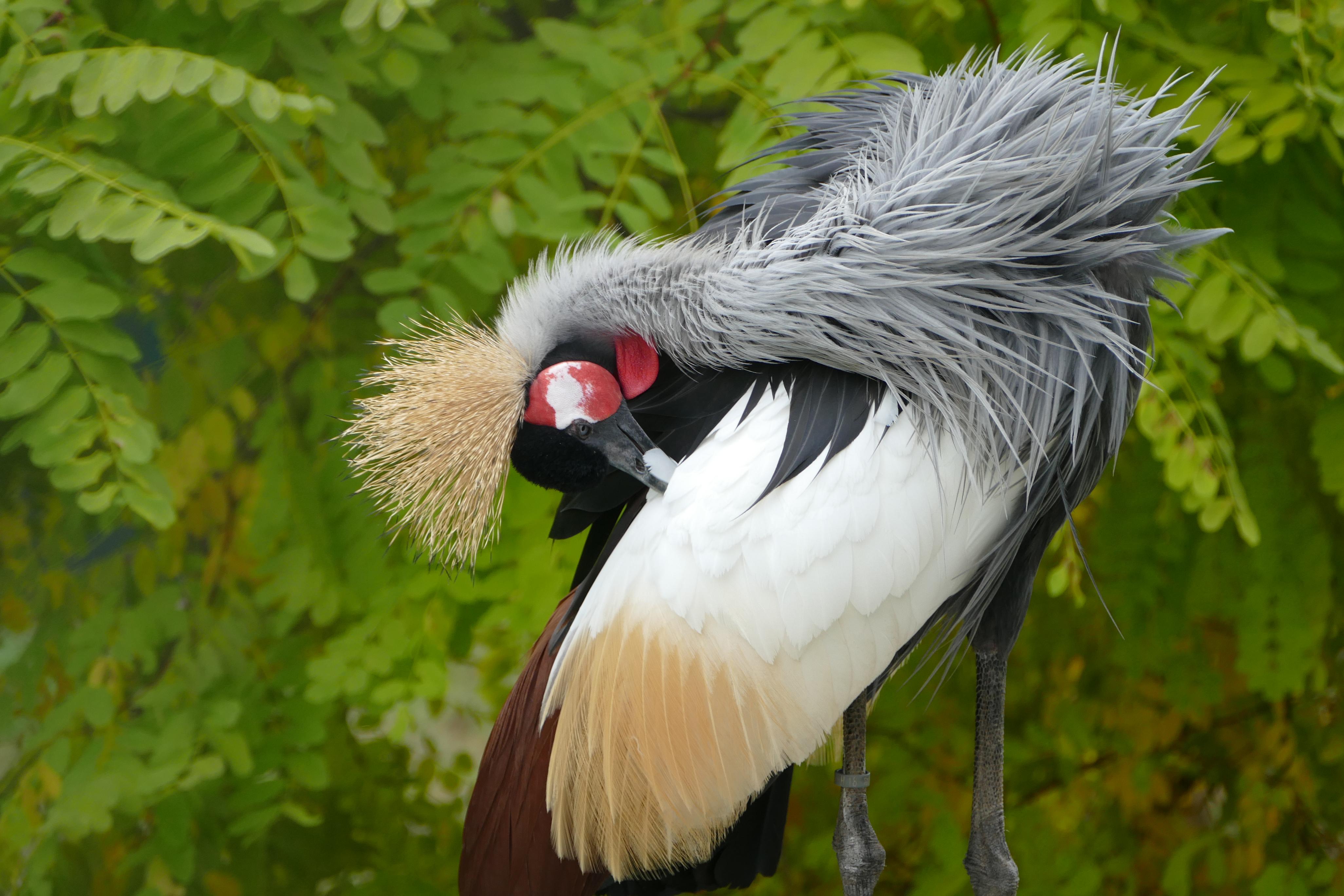 herfst-in-de-dierentuin