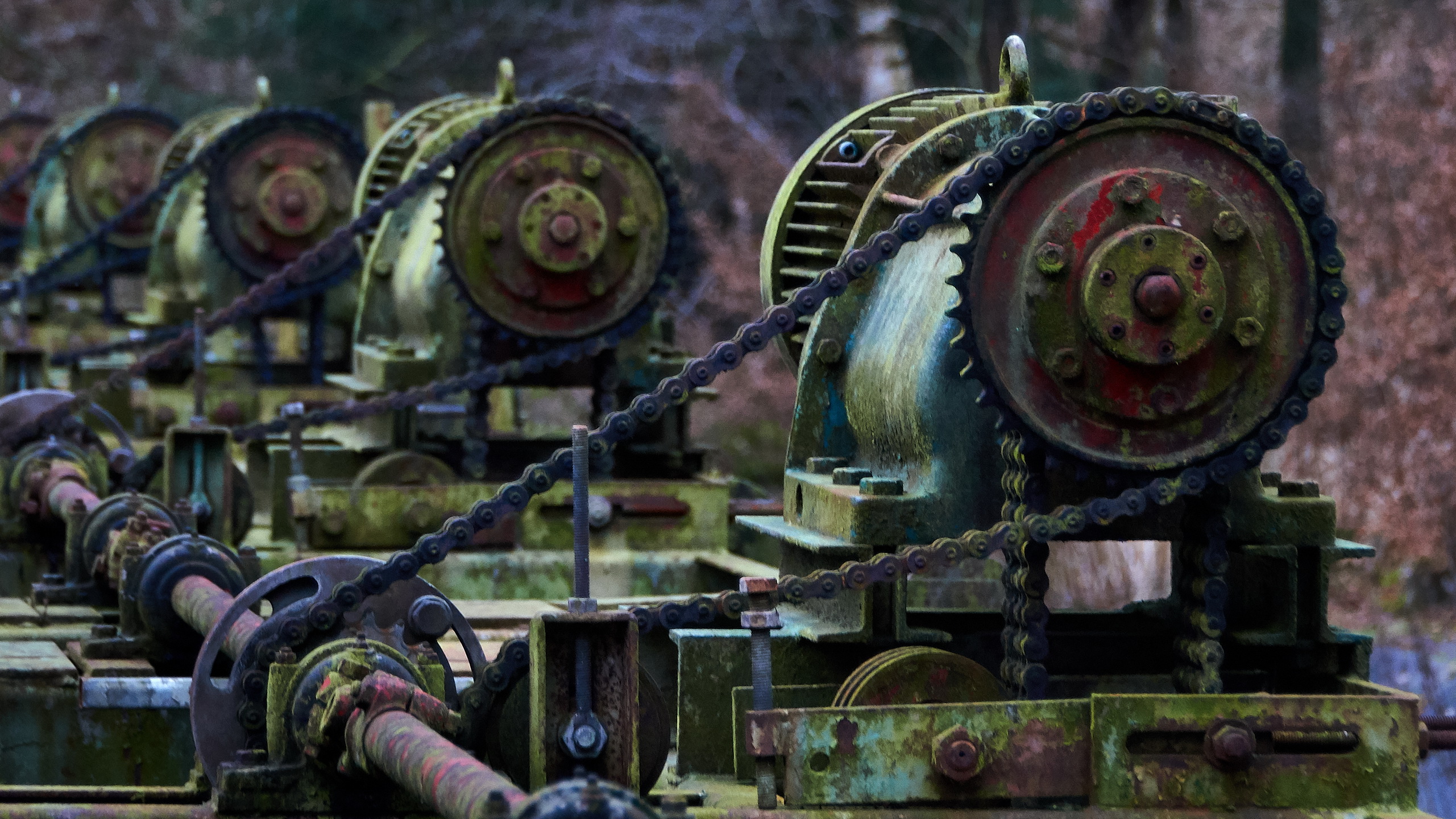 waterloopbos-oude-machines