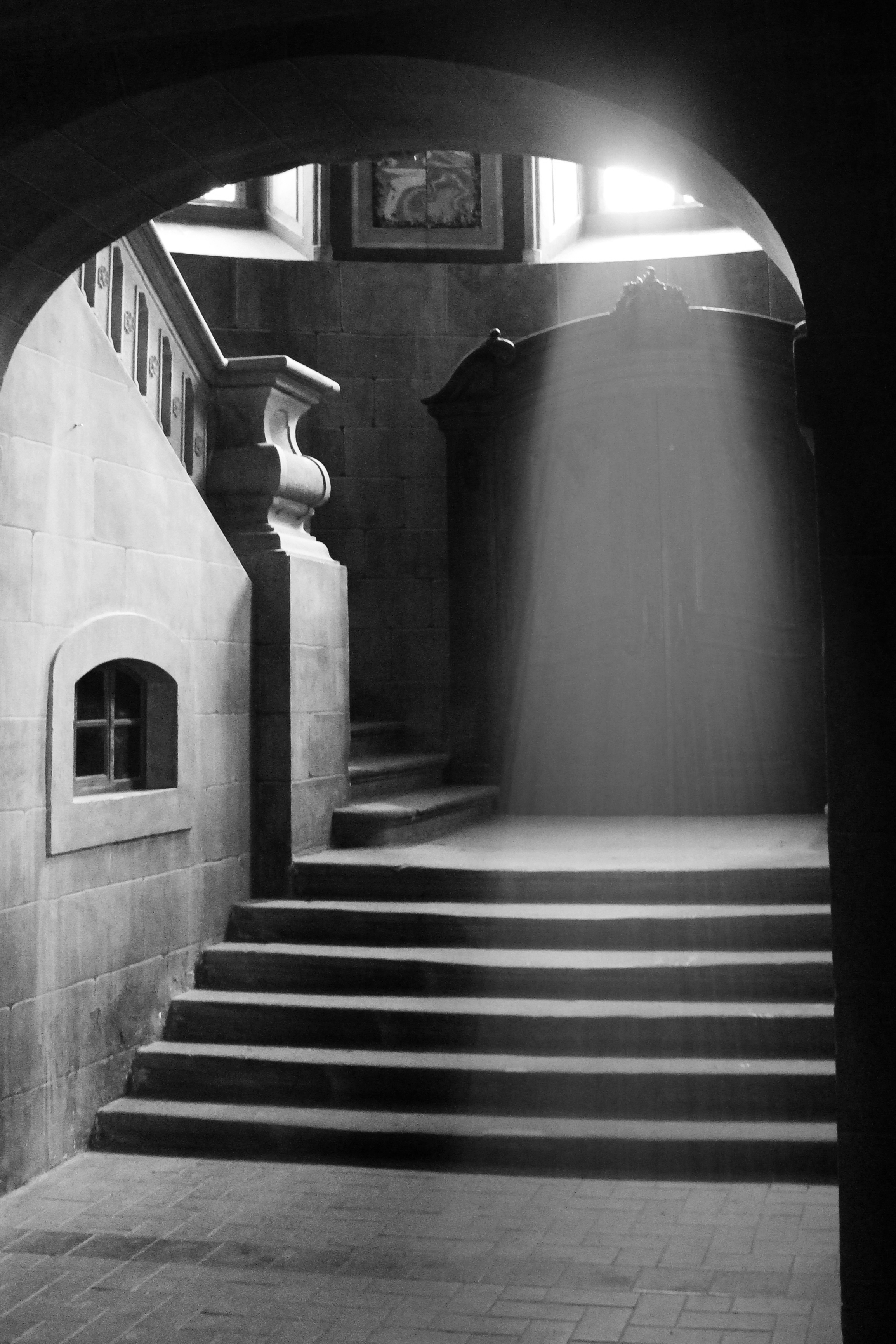 where-the-shadows-remain-in-the-light-of-day