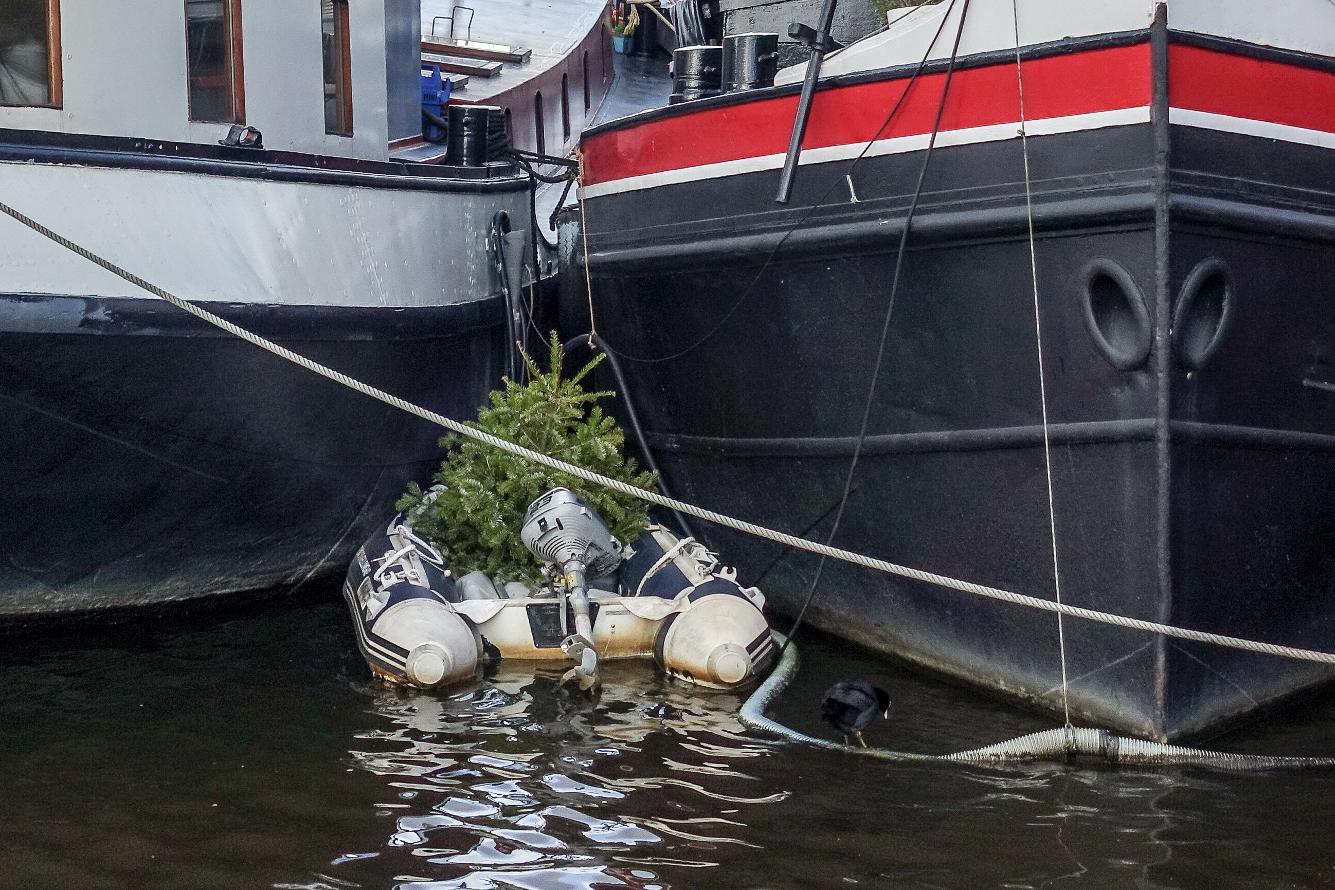 kerstboom-met-waterhoentje