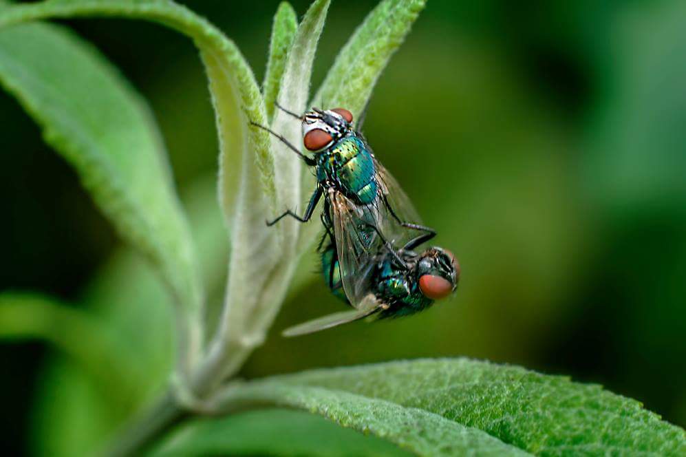 gezellig-met-zn-twee%C3%ABn