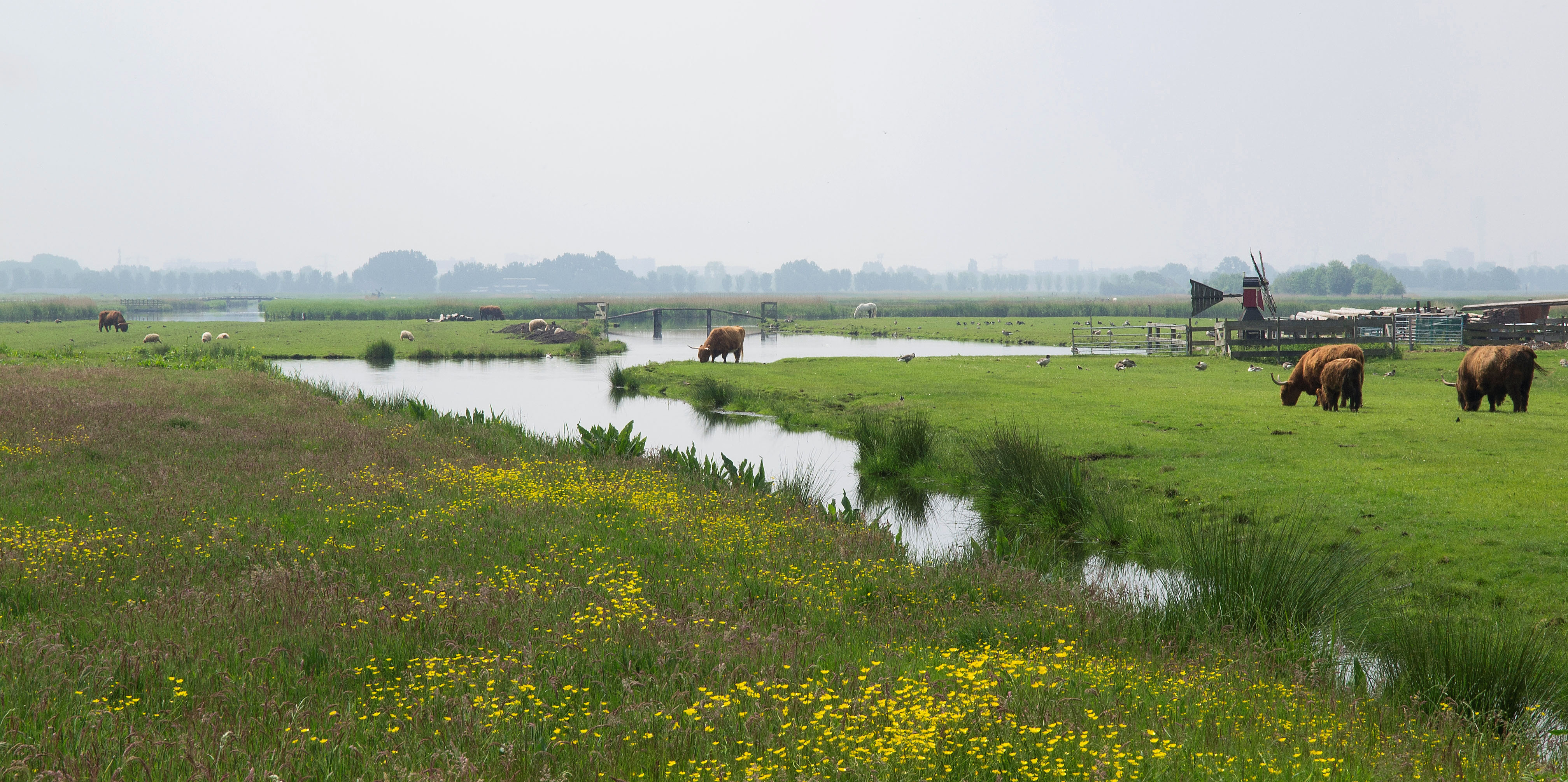 polder-2-1
