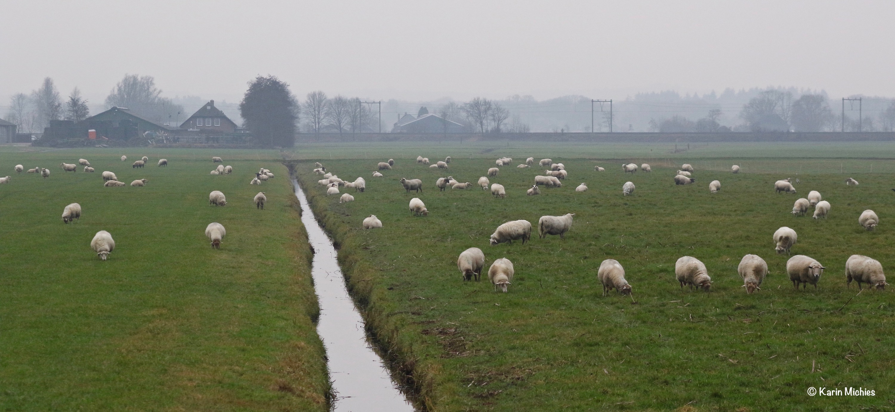 polder-1-1