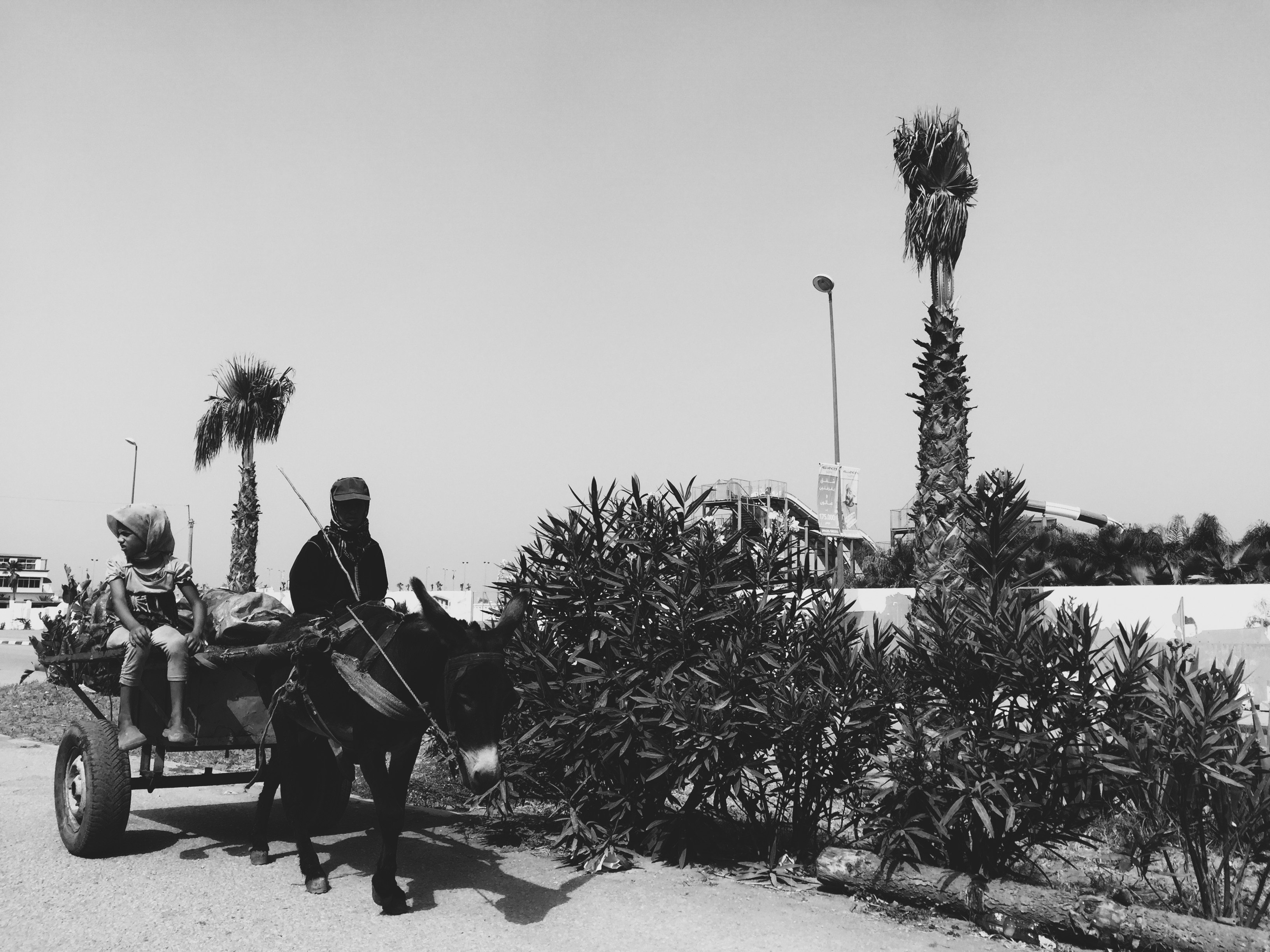 refreshing-old-vibes