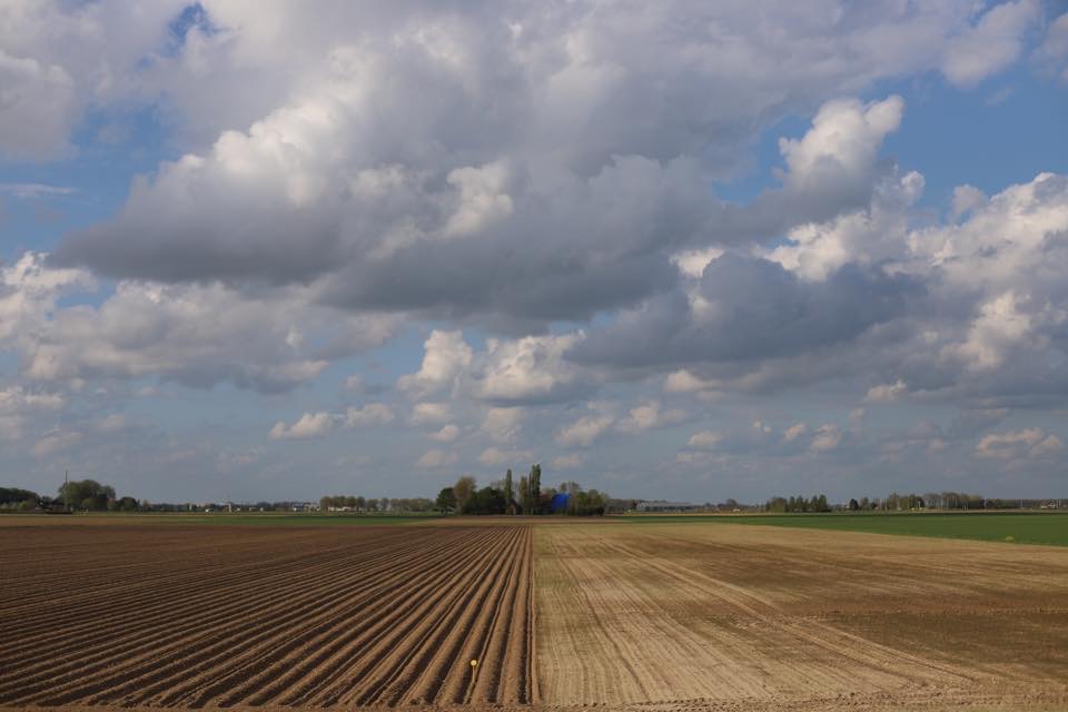 lijnen-in-de-polder